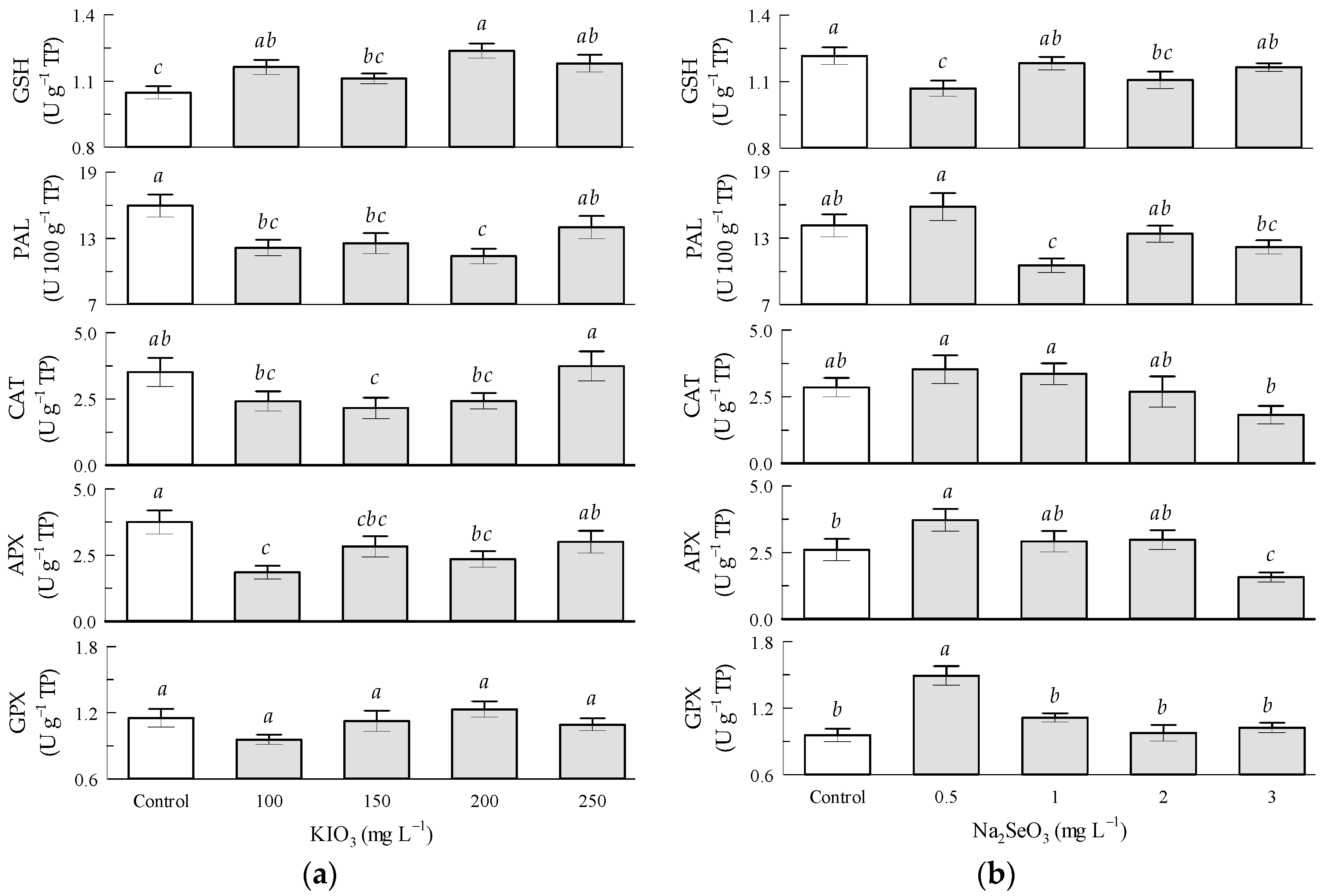 Antioxidants 12 01265 g004