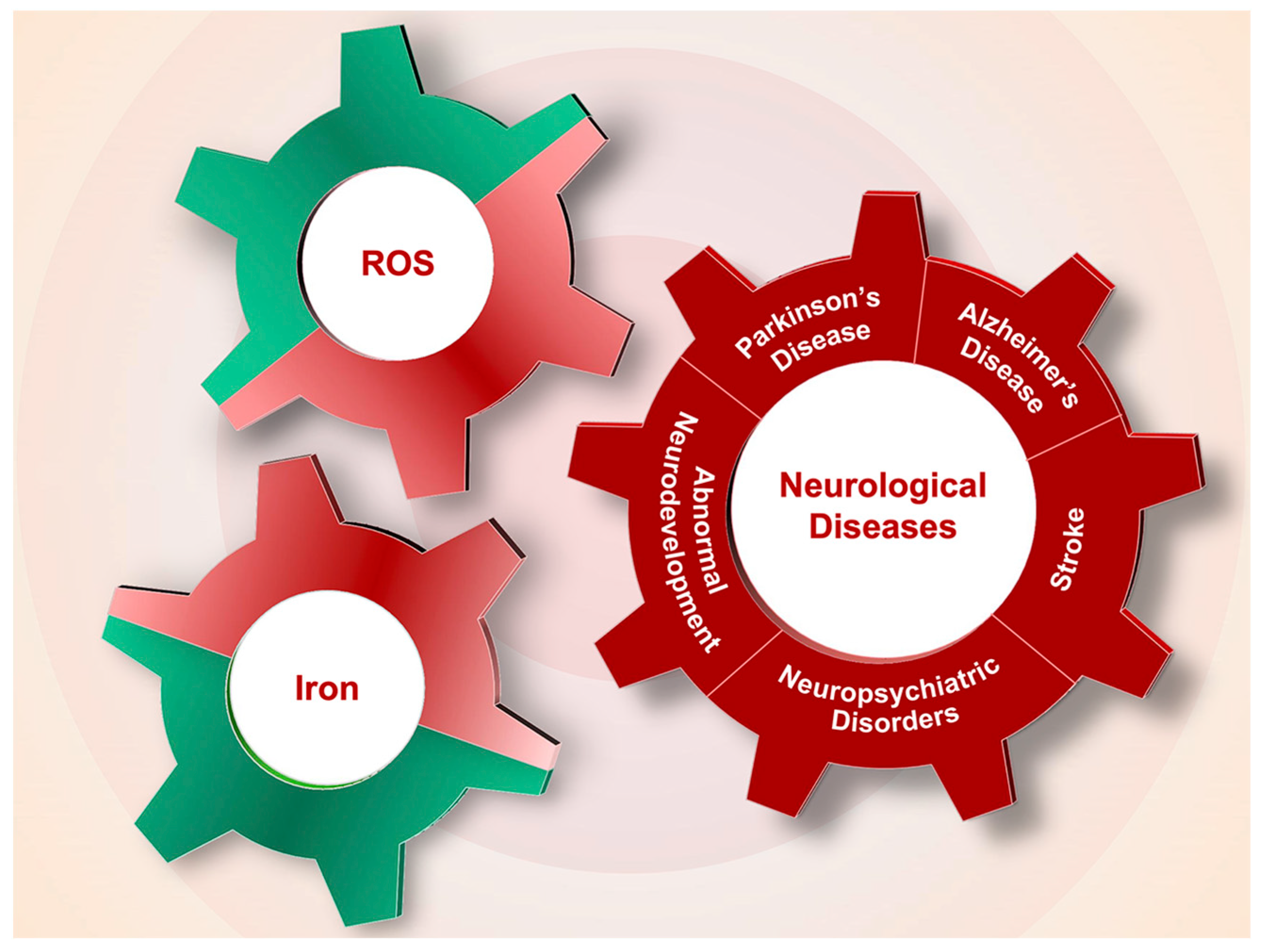 Antioxidants Free Full Text Brain Iron Metabolism Redox