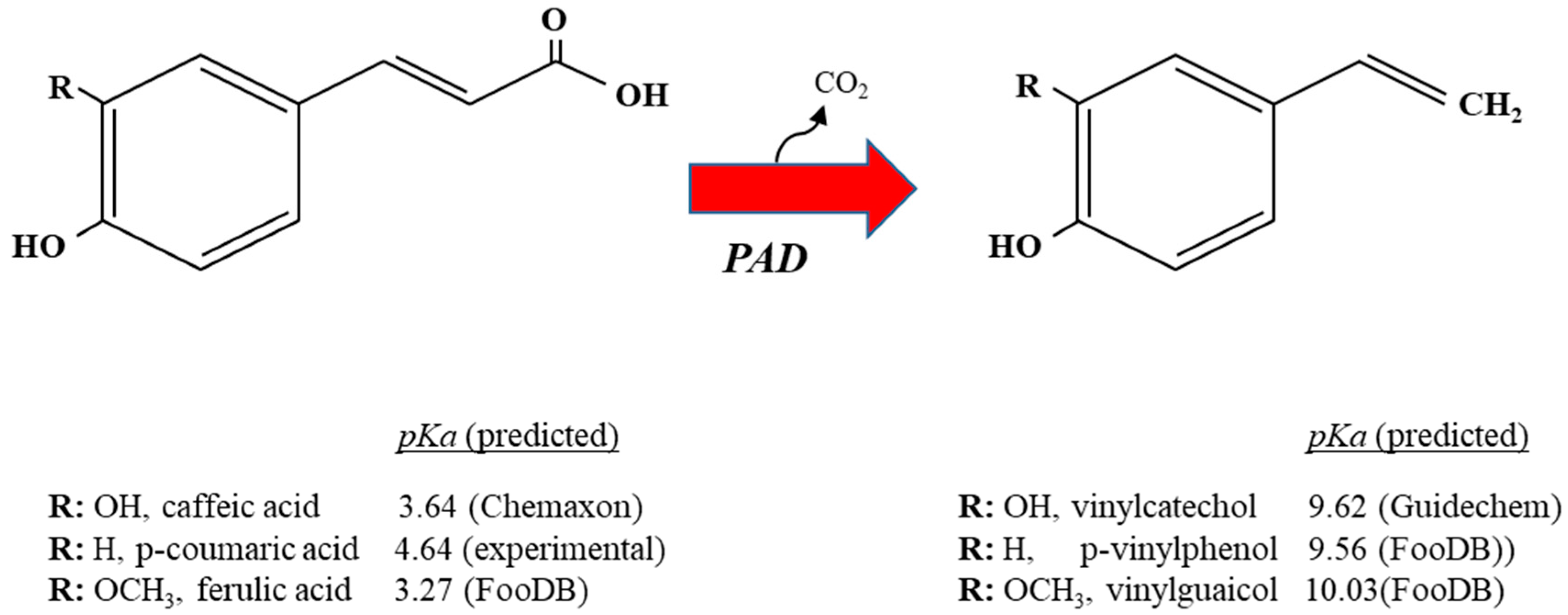 Antioxidants 12 01294 g001 Antioxidants 12 01294 g001