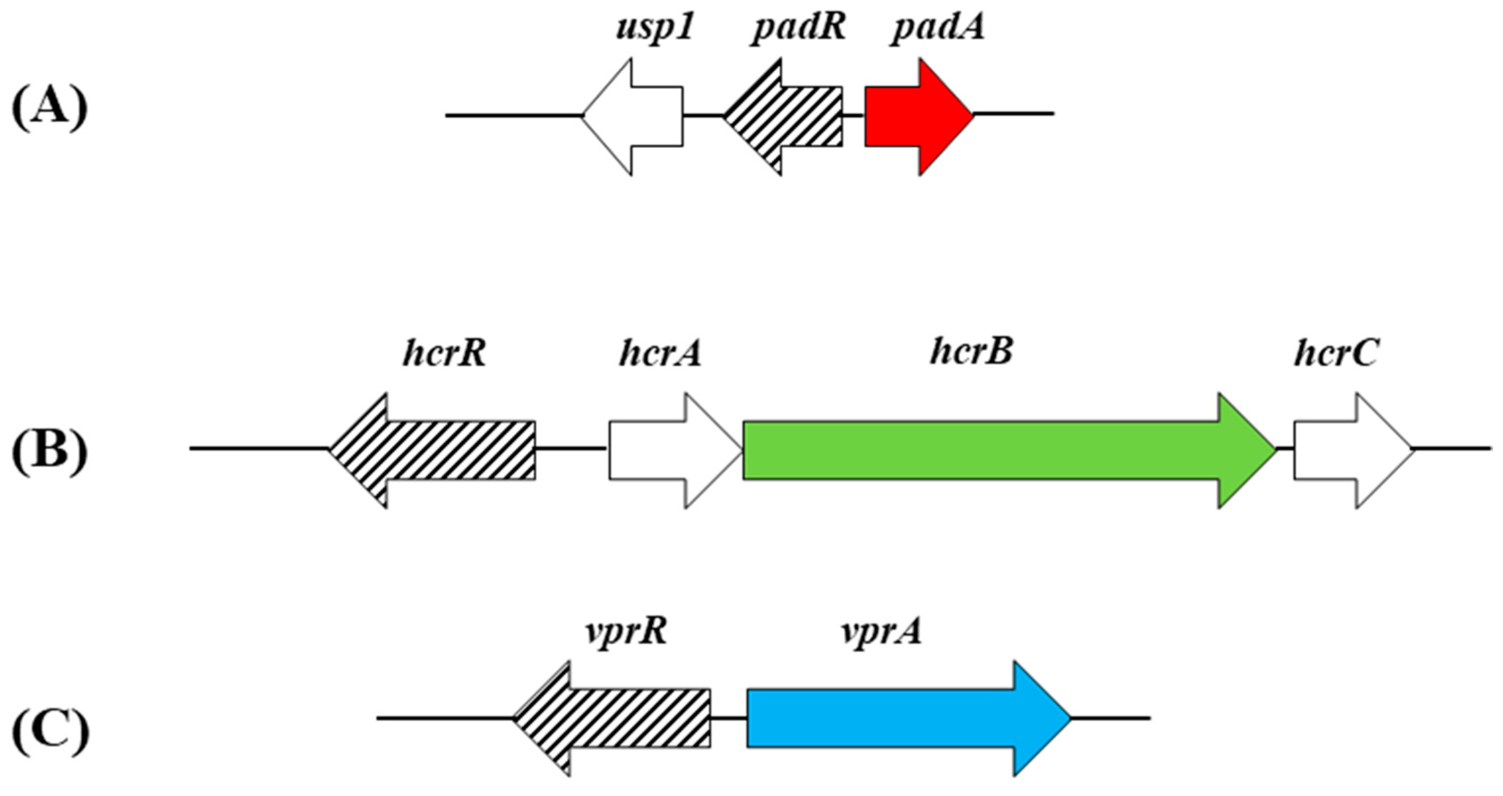 Antioxidants 12 01294 g002 Antioxidants 12 01294 g002
