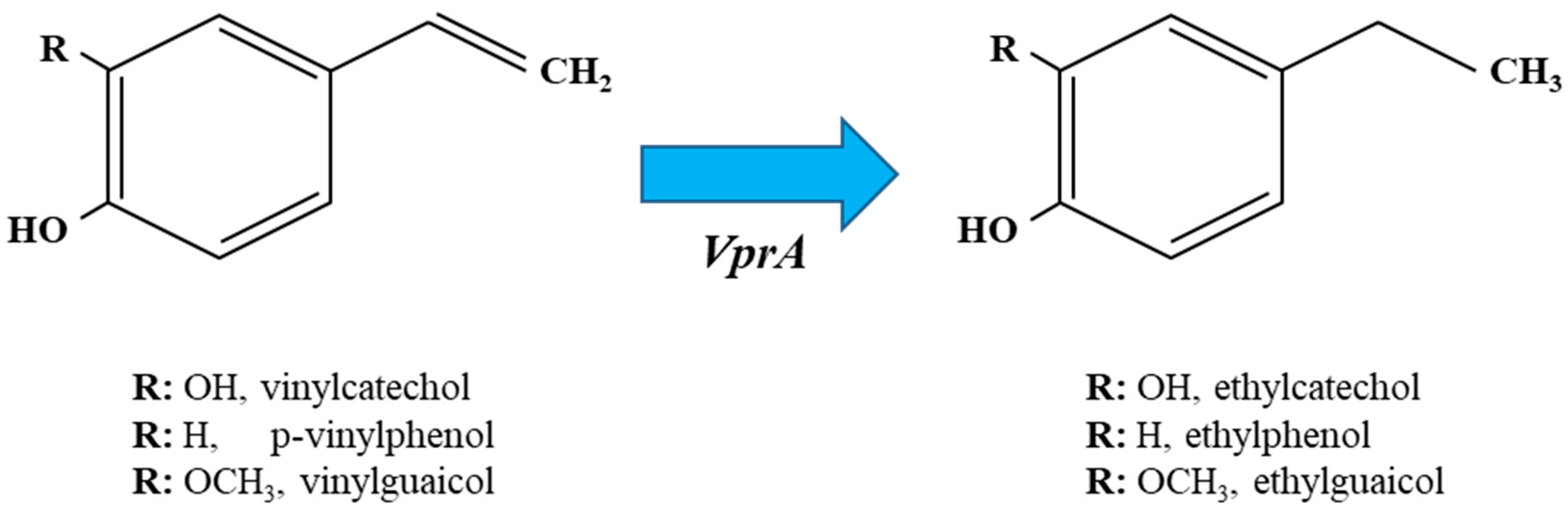 Antioxidants 12 01294 g003 Antioxidants 12 01294 g003