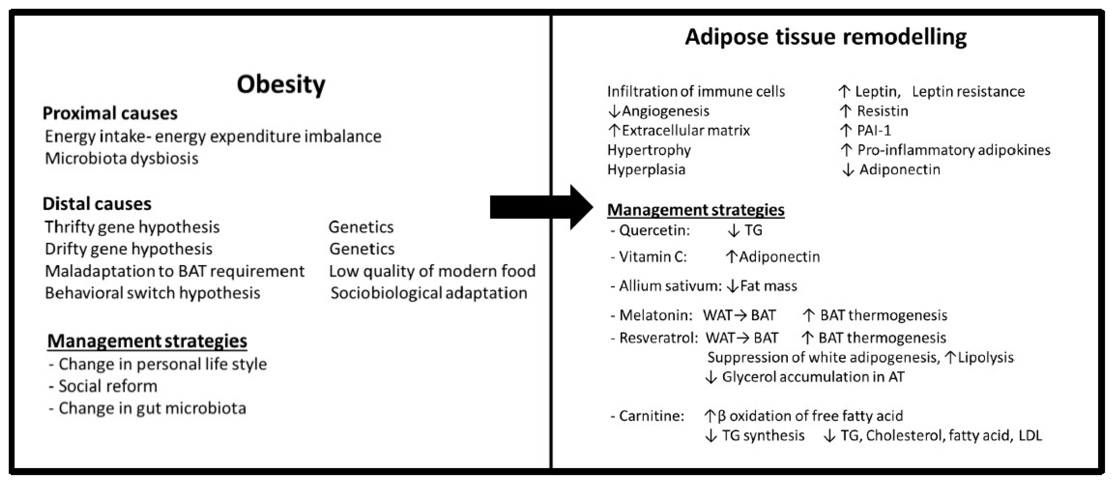Antioxidants 12 01295 g001 Antioxidants 12 01295 g001