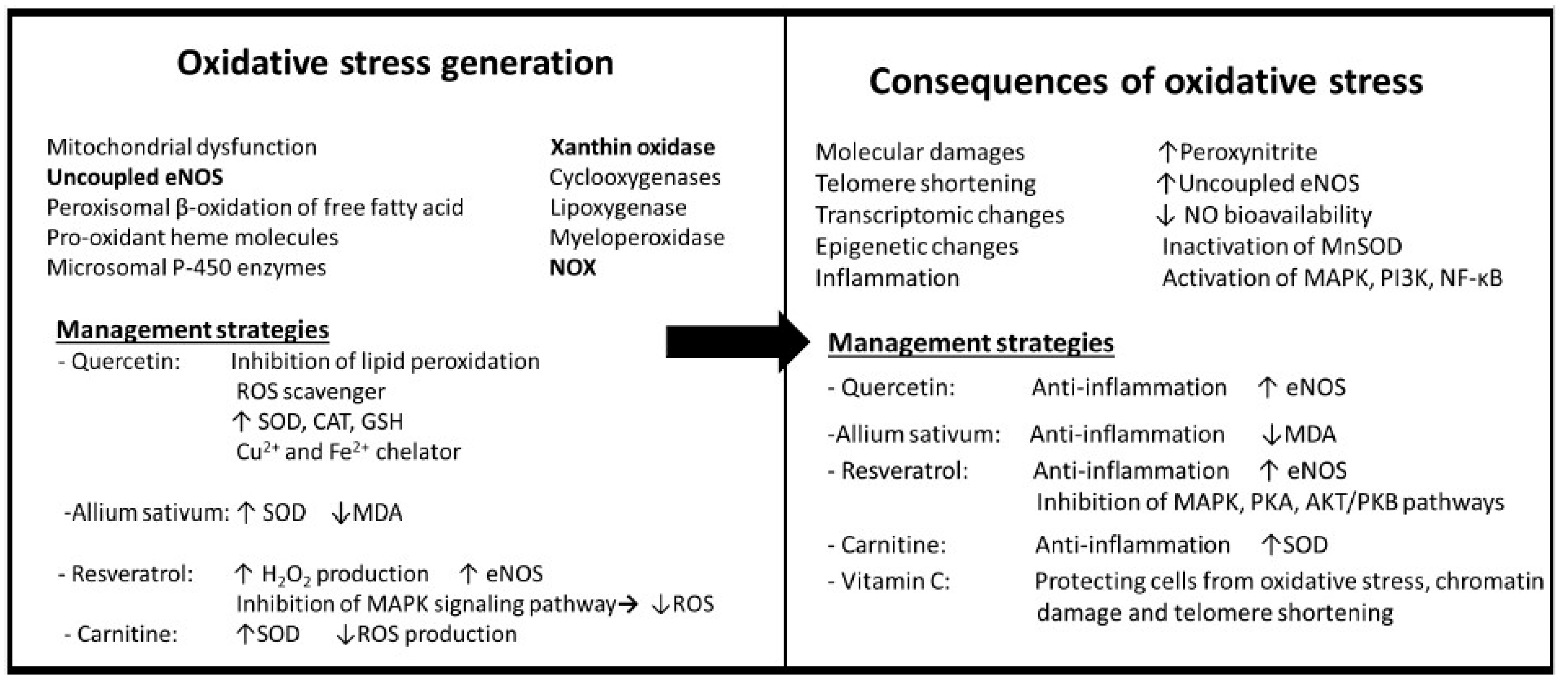 Antioxidants 12 01295 g002 Antioxidants 12 01295 g002
