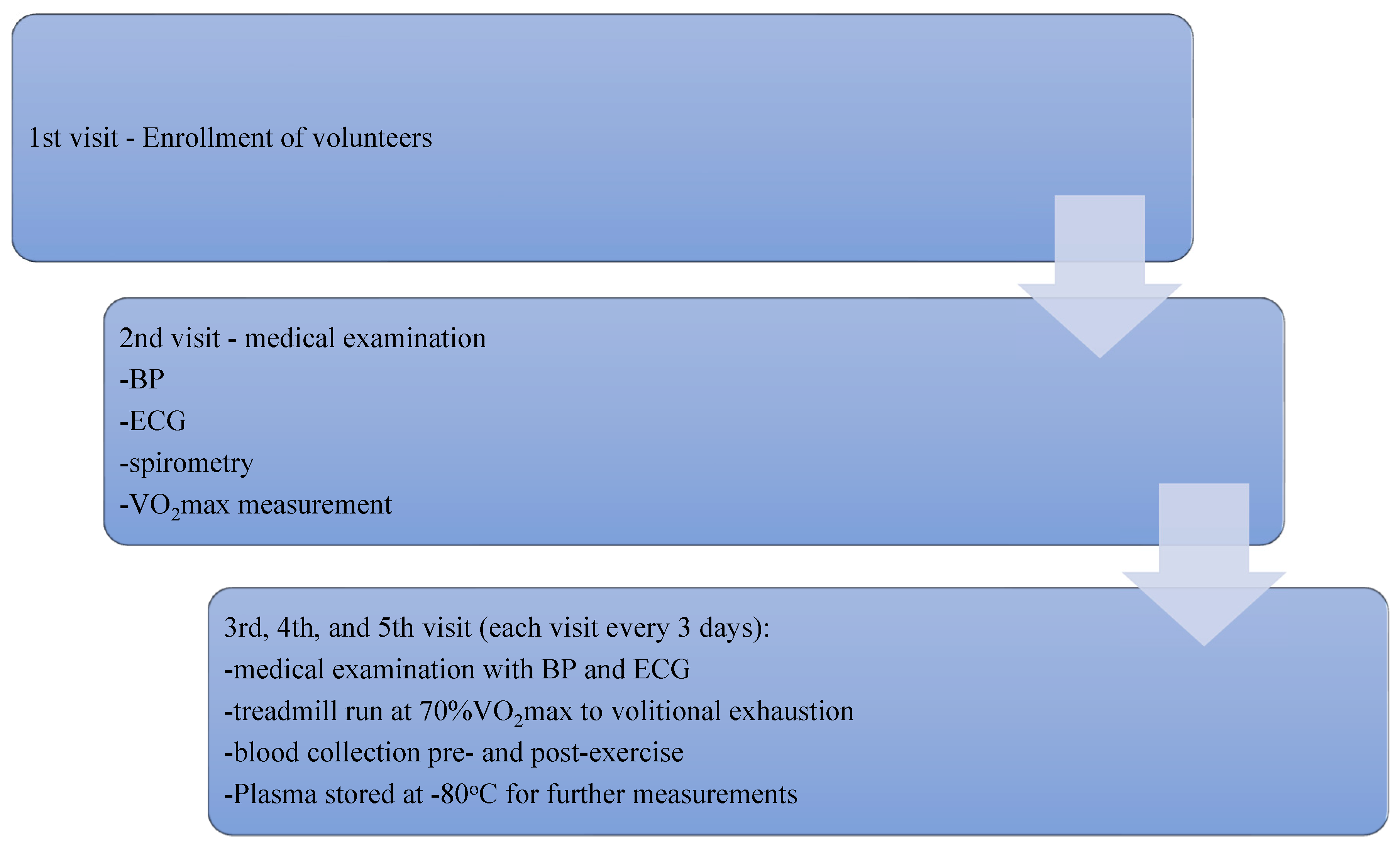 Antioxidants 12 01296 g002 Antioxidants 12 01296 g002