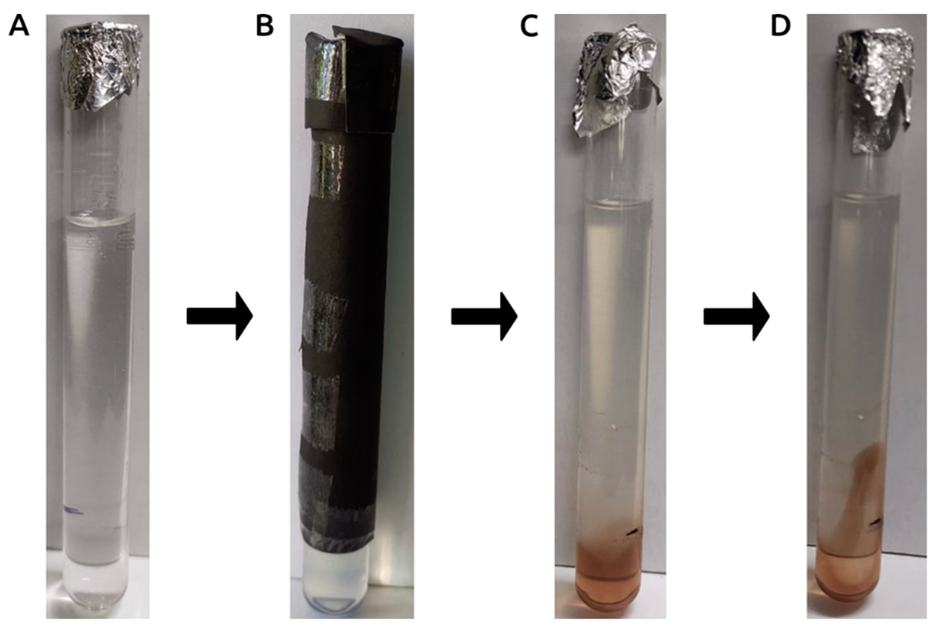 Antioxidants 12 01298 g003