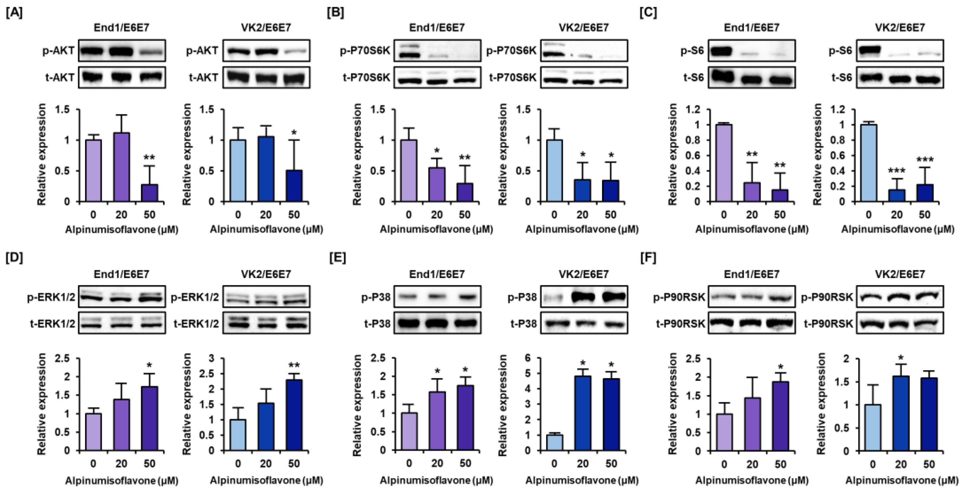 Antioxidants 12 01324 g006