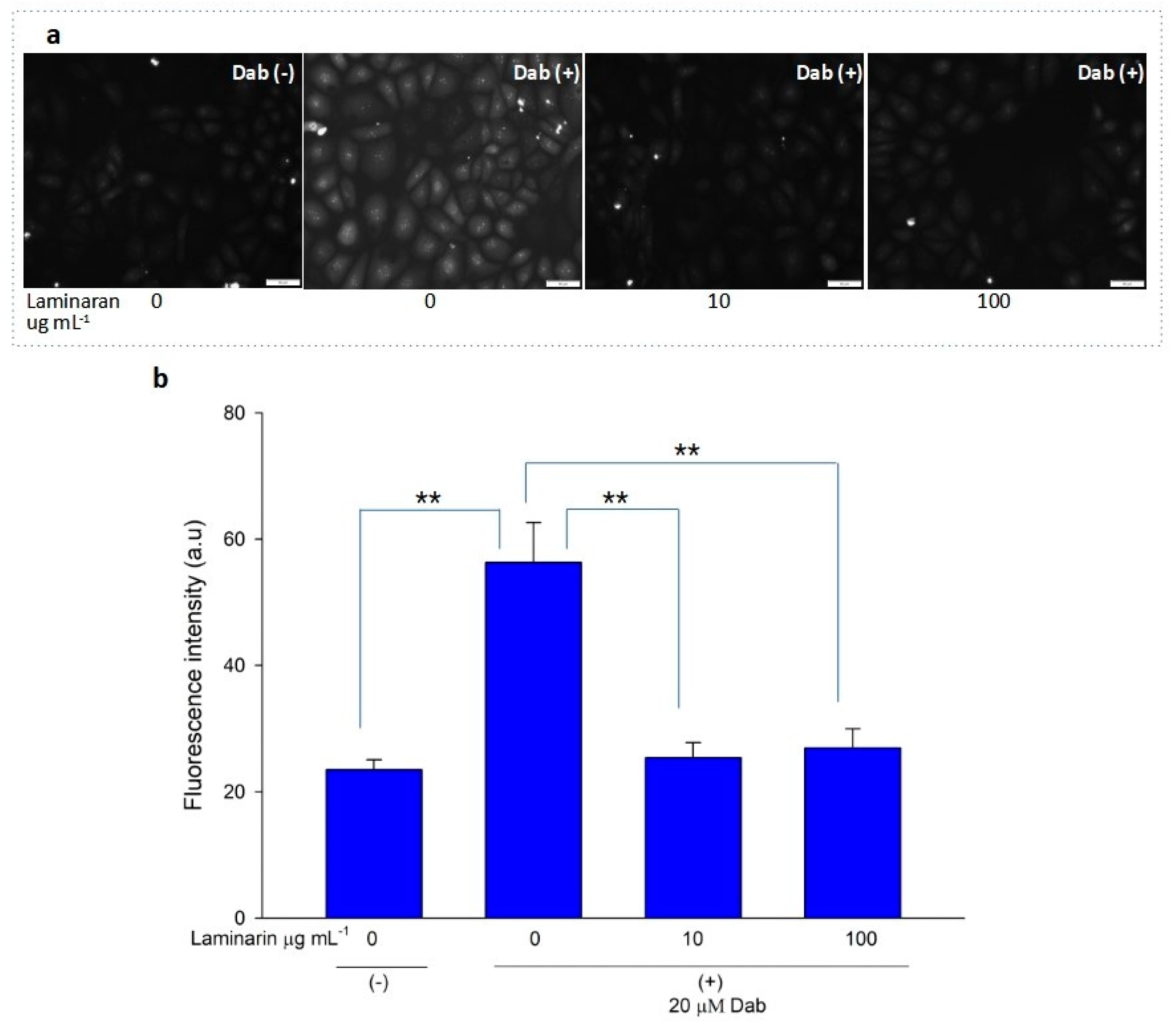 Antioxidants 12 01328 g003