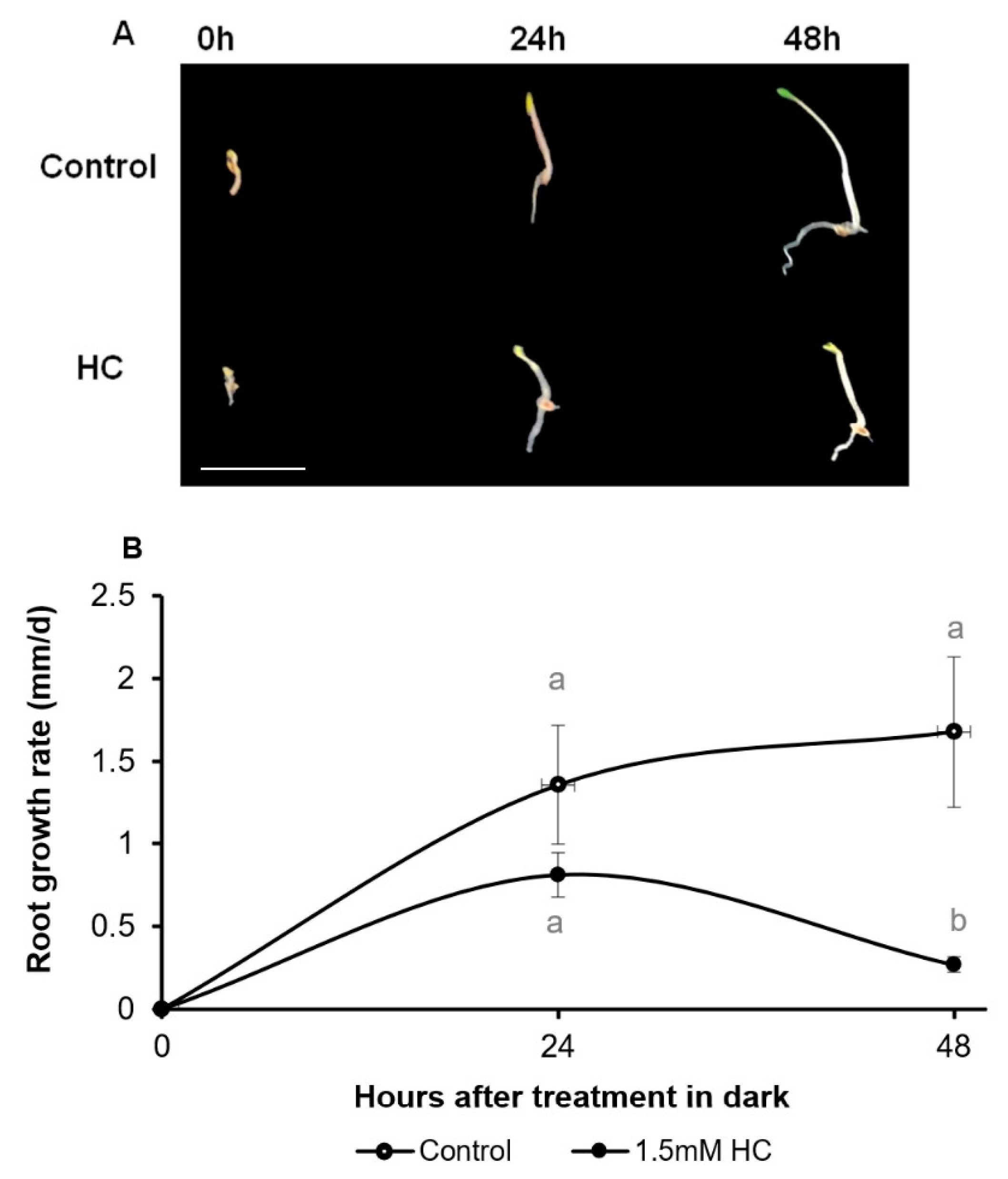 Antioxidants 12 01330 g006