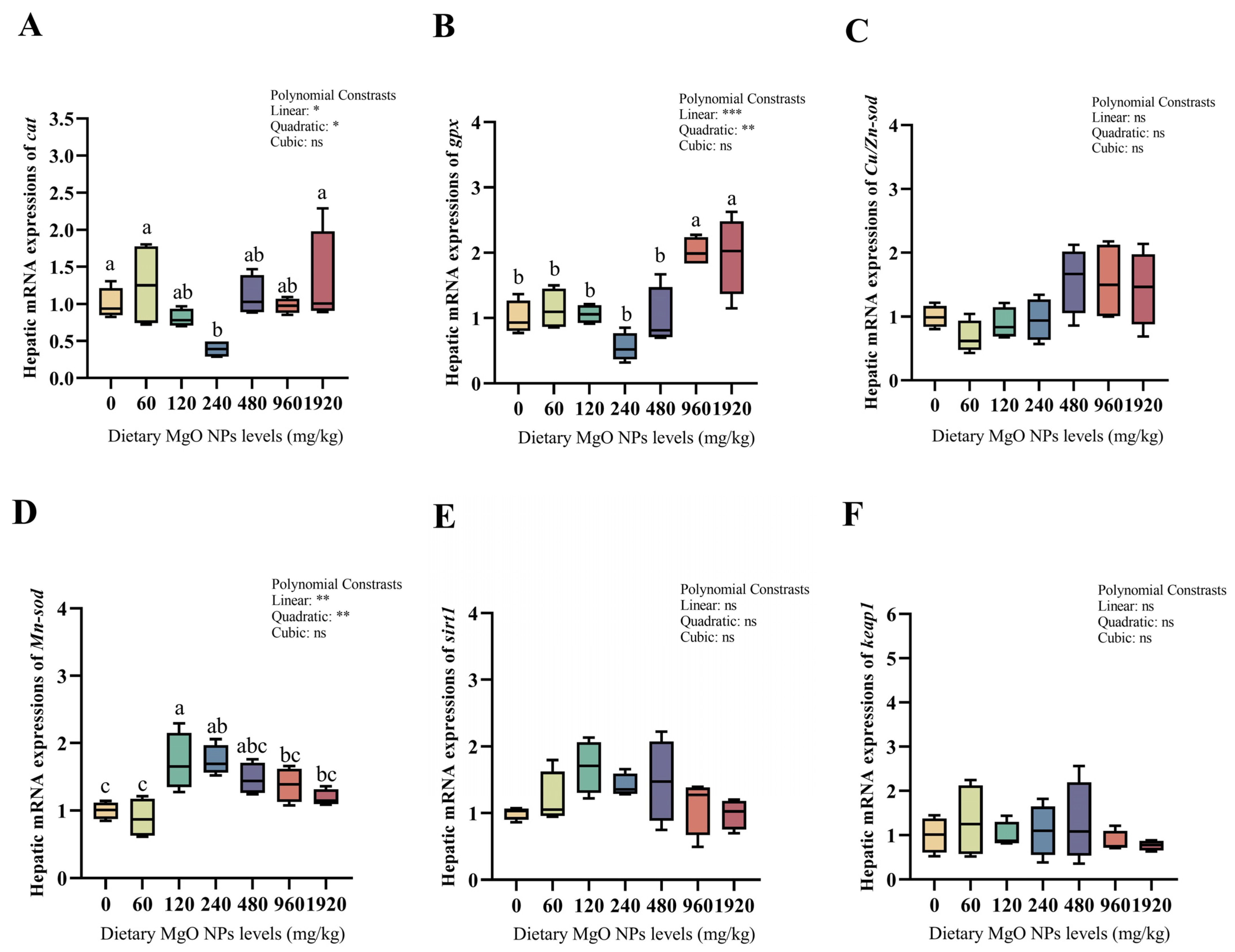 Antioxidants 12 01350 g003