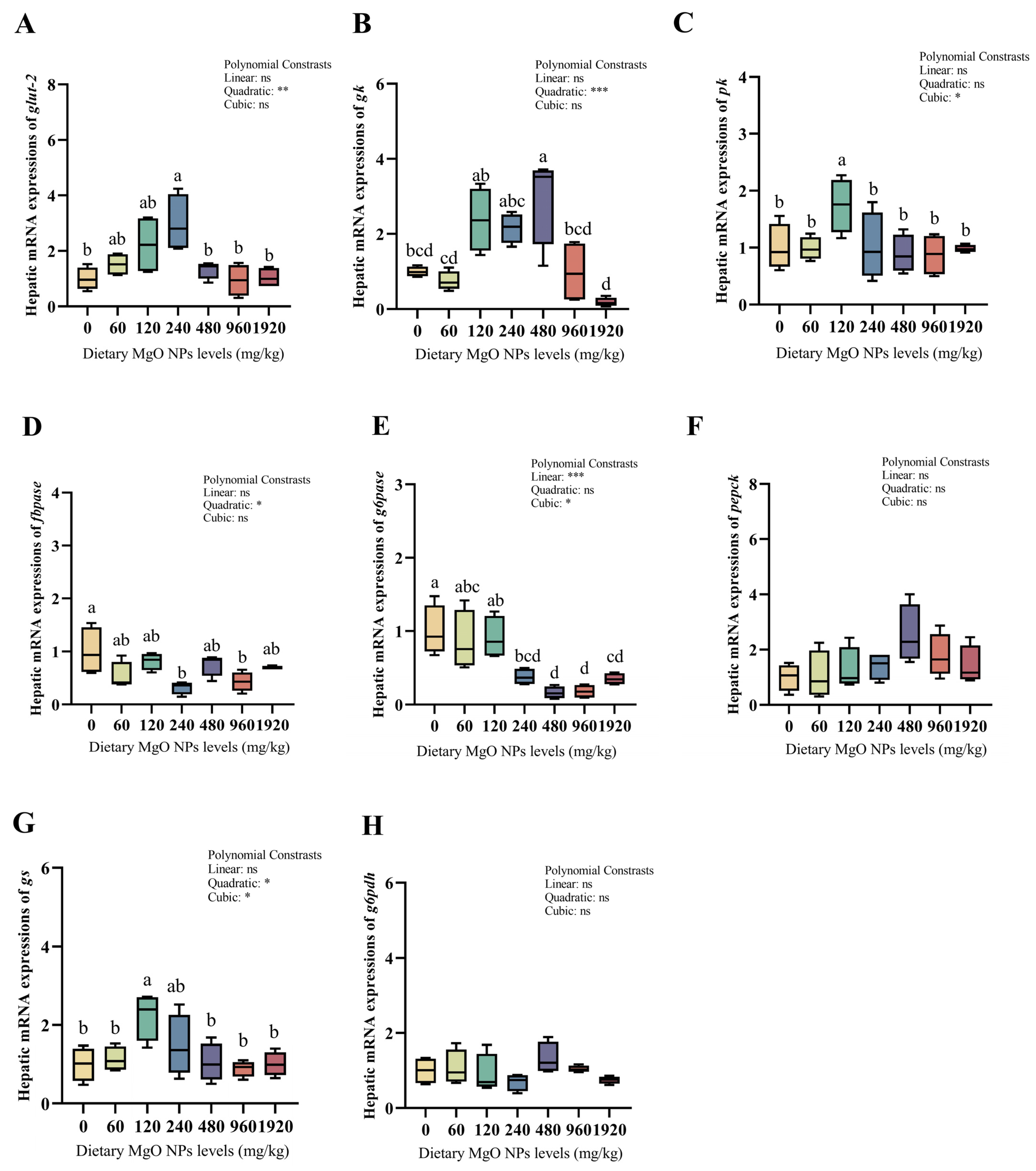 Antioxidants 12 01350 g004