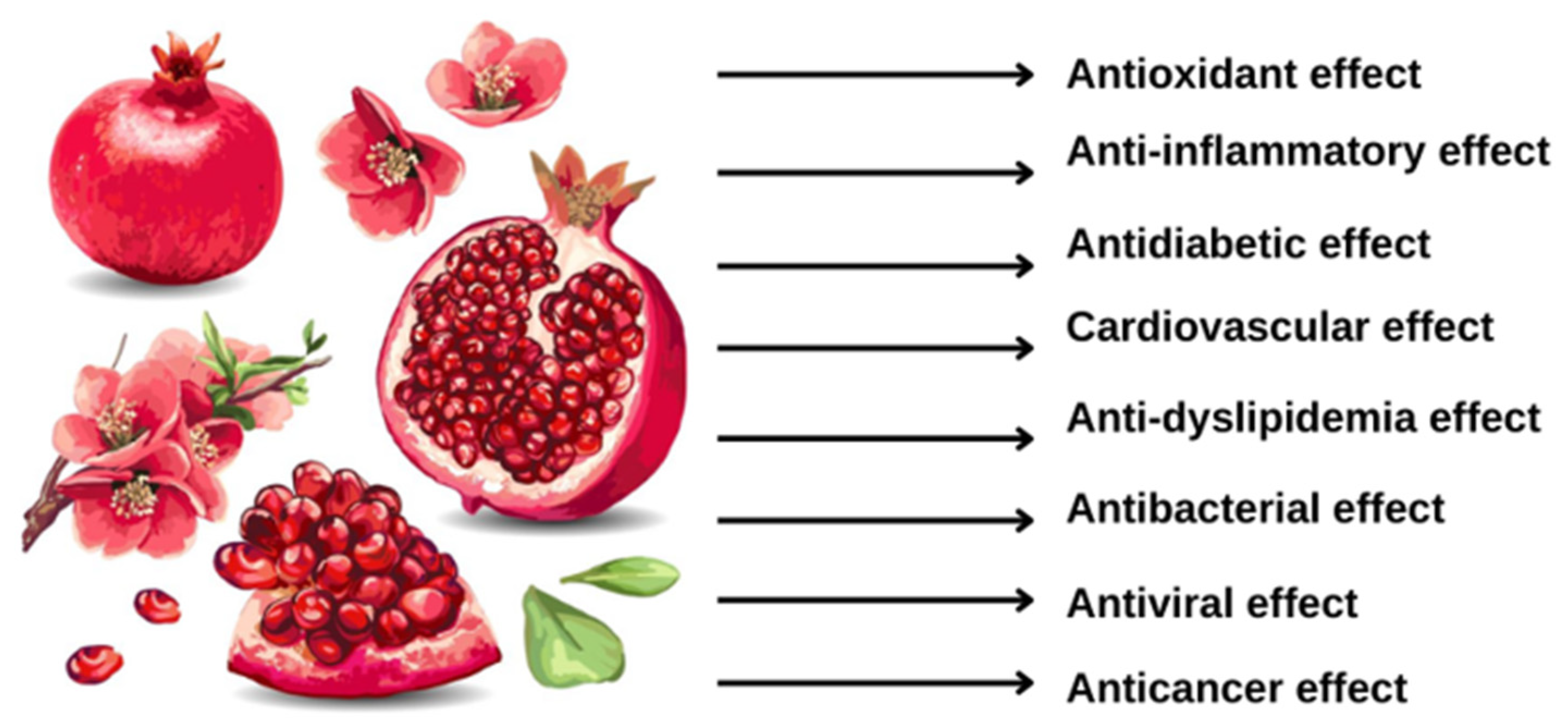 Pomegranate health studies