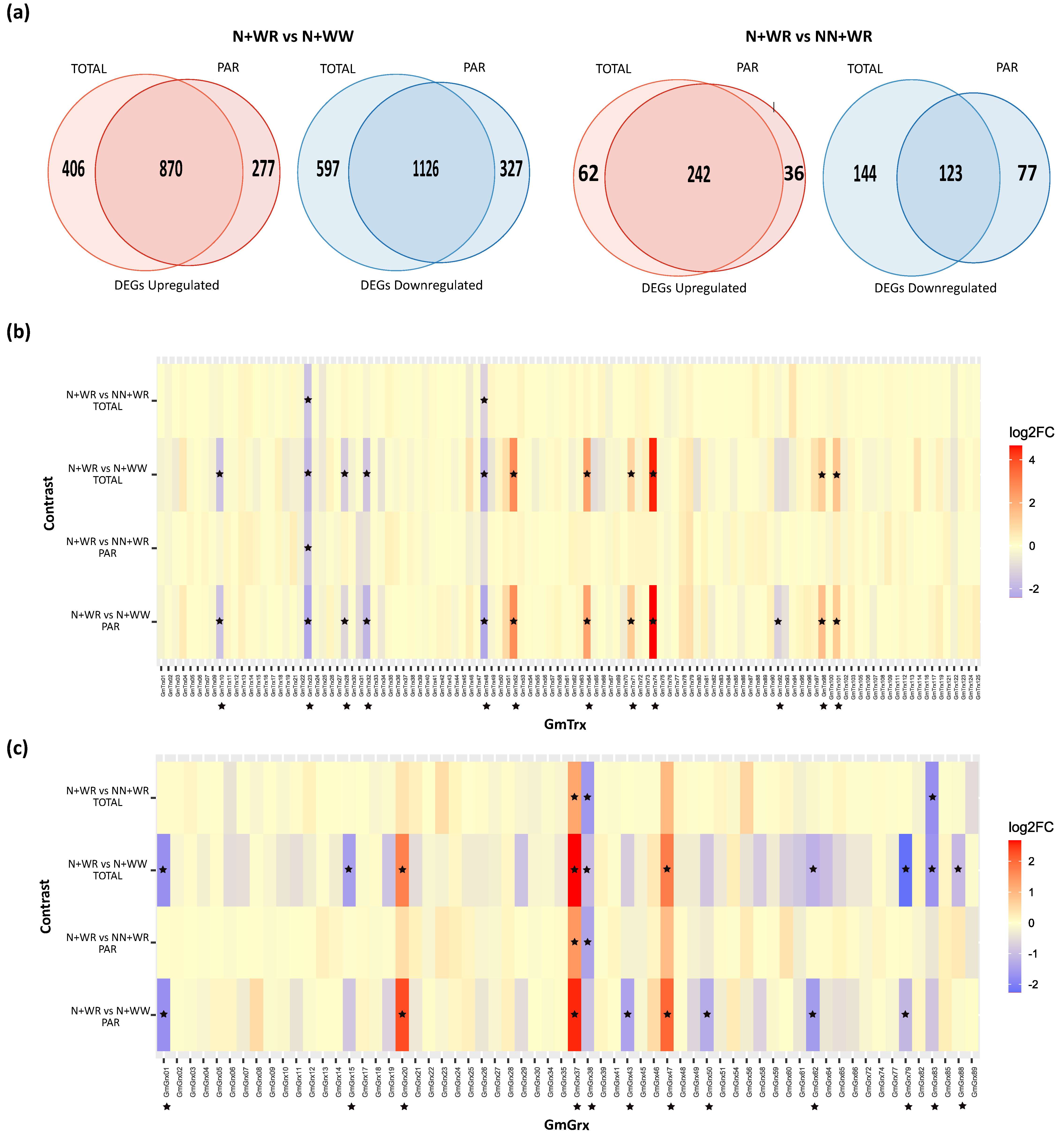 Antioxidants 12 01377 g001