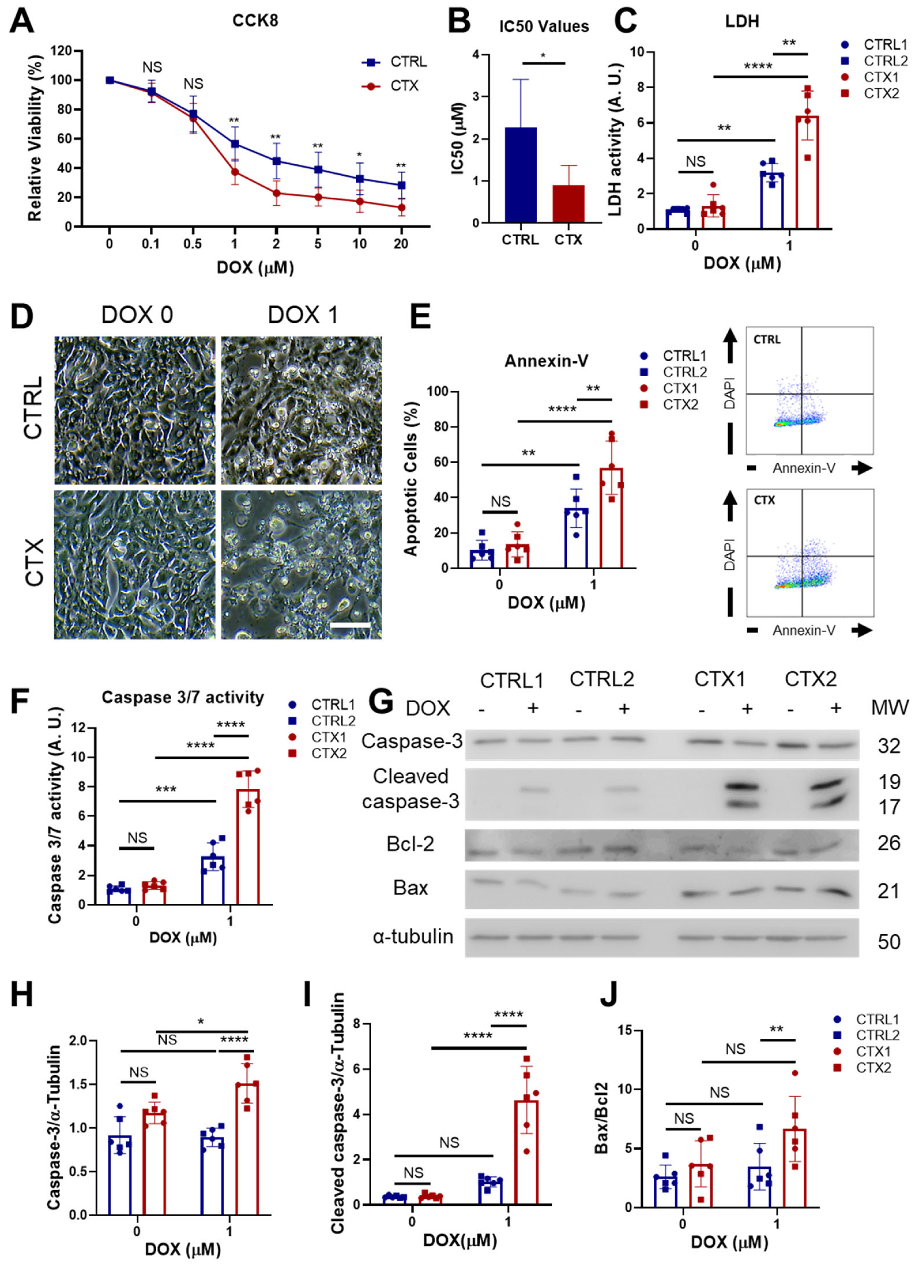 Antioxidants 12 01378 g002 Antioxidants 12 01378 g002