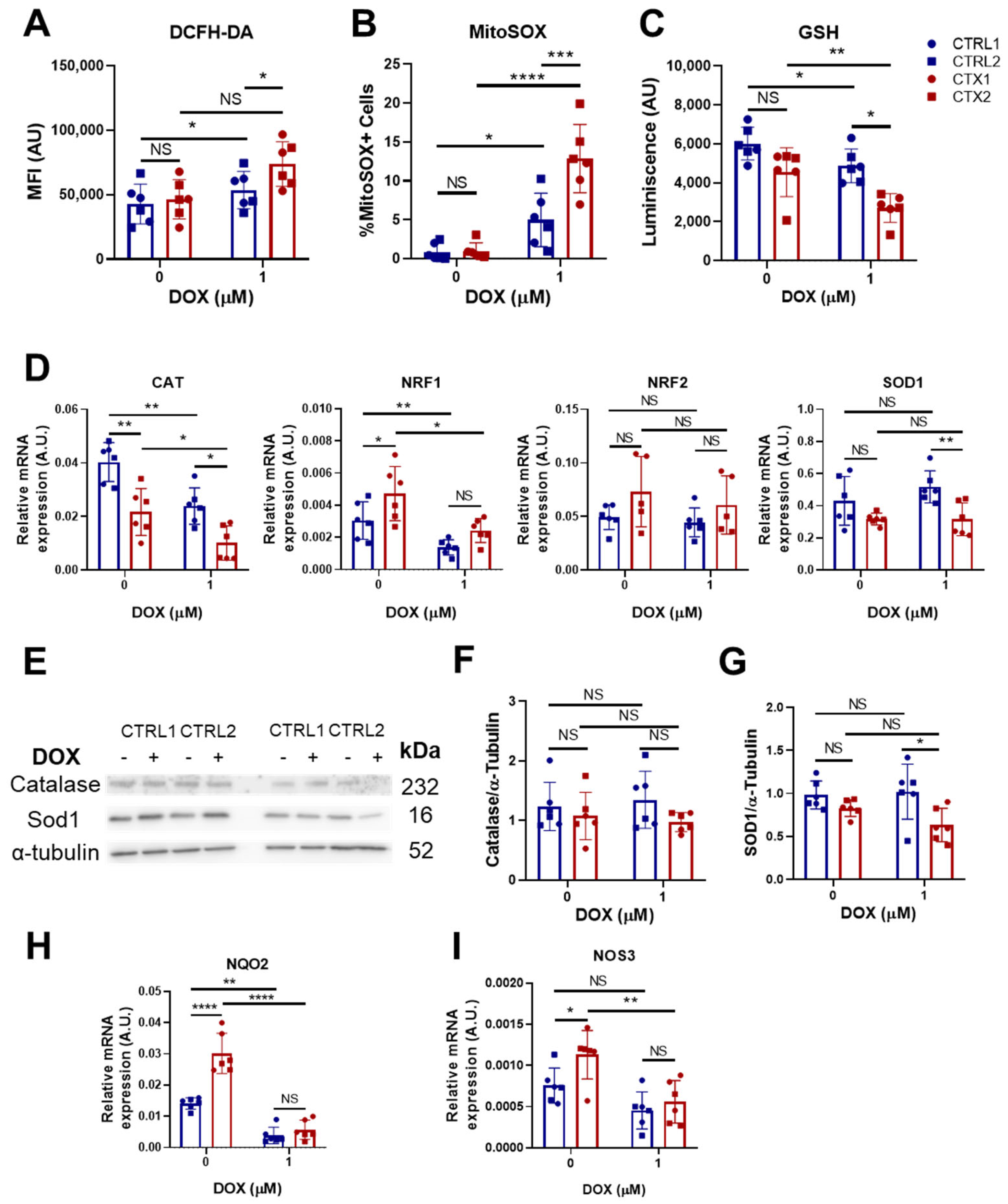 Antioxidants 12 01378 g003 Antioxidants 12 01378 g003