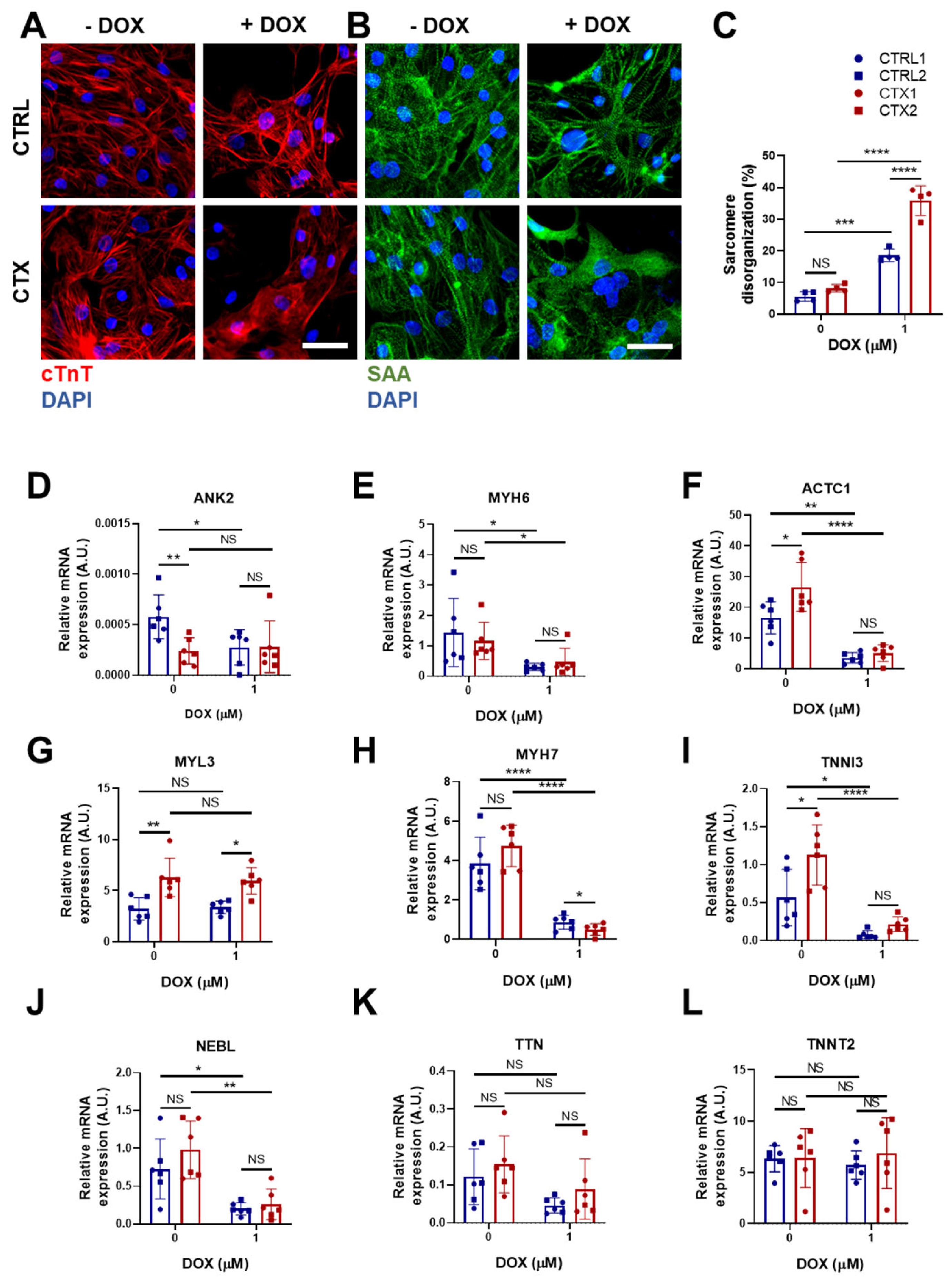 Antioxidants 12 01378 g005 Antioxidants 12 01378 g005