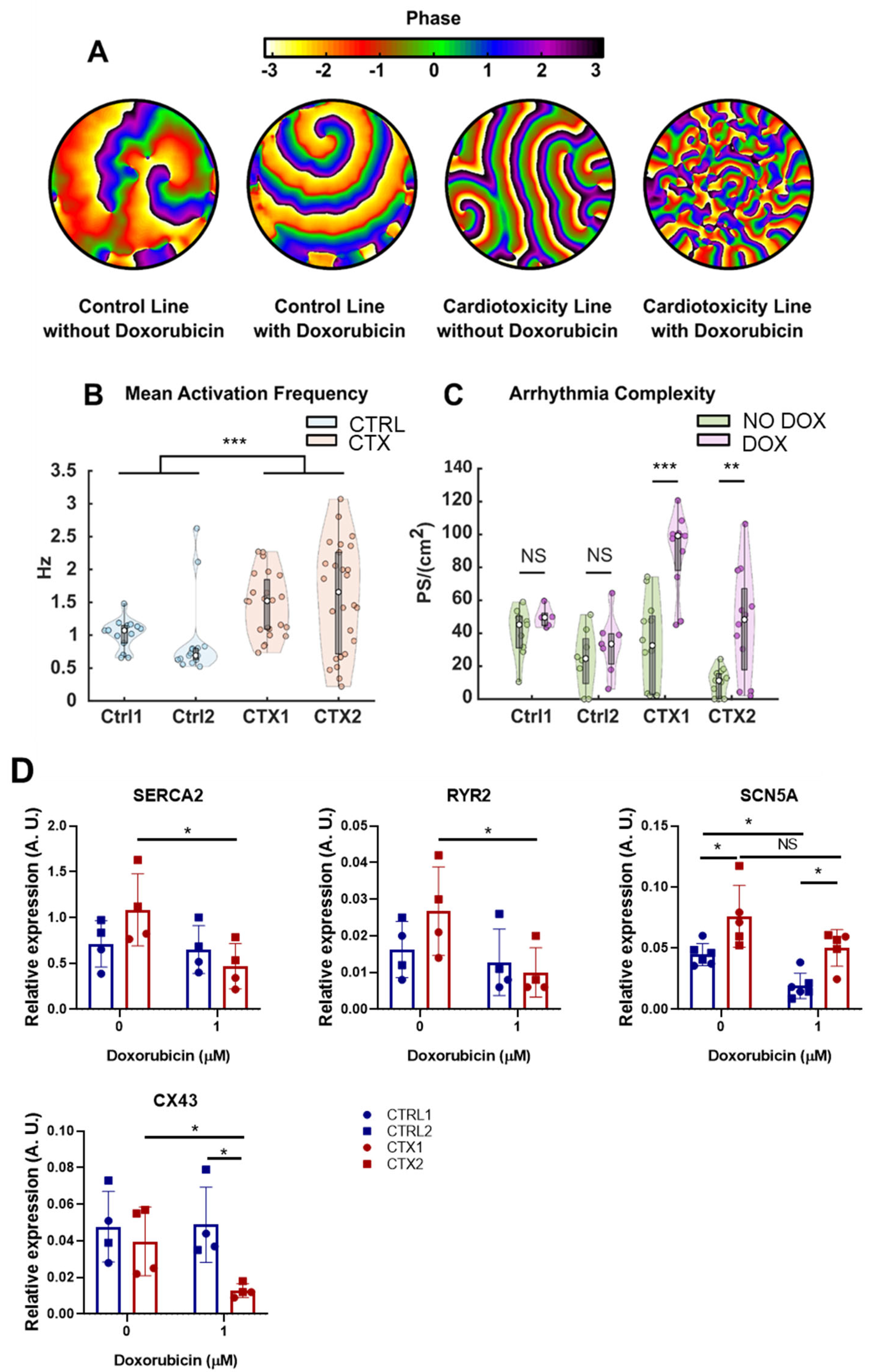 Antioxidants 12 01378 g007 Antioxidants 12 01378 g007