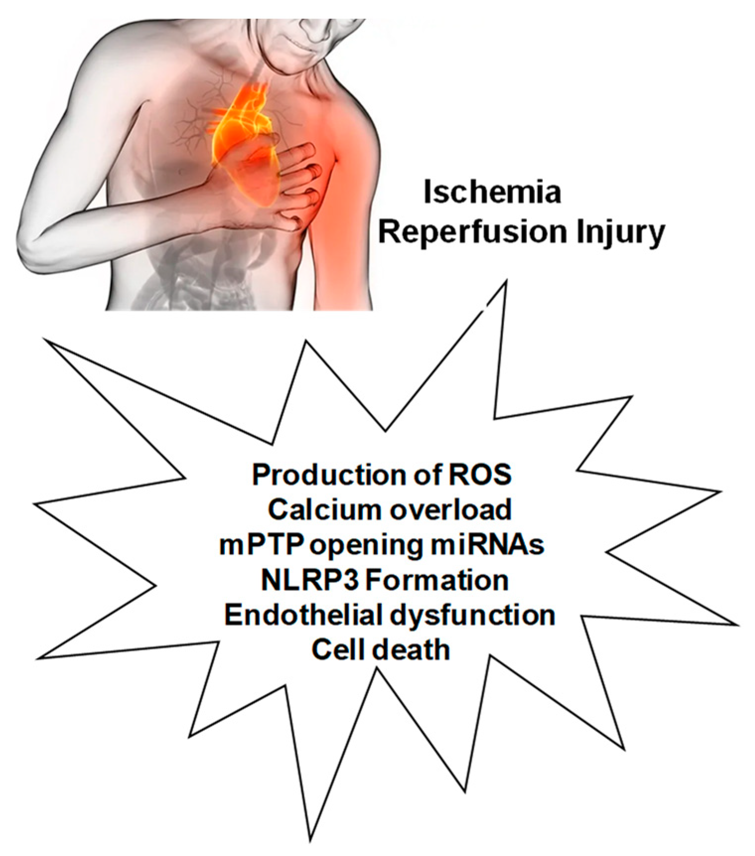 Antioxidants 12 01396 g001