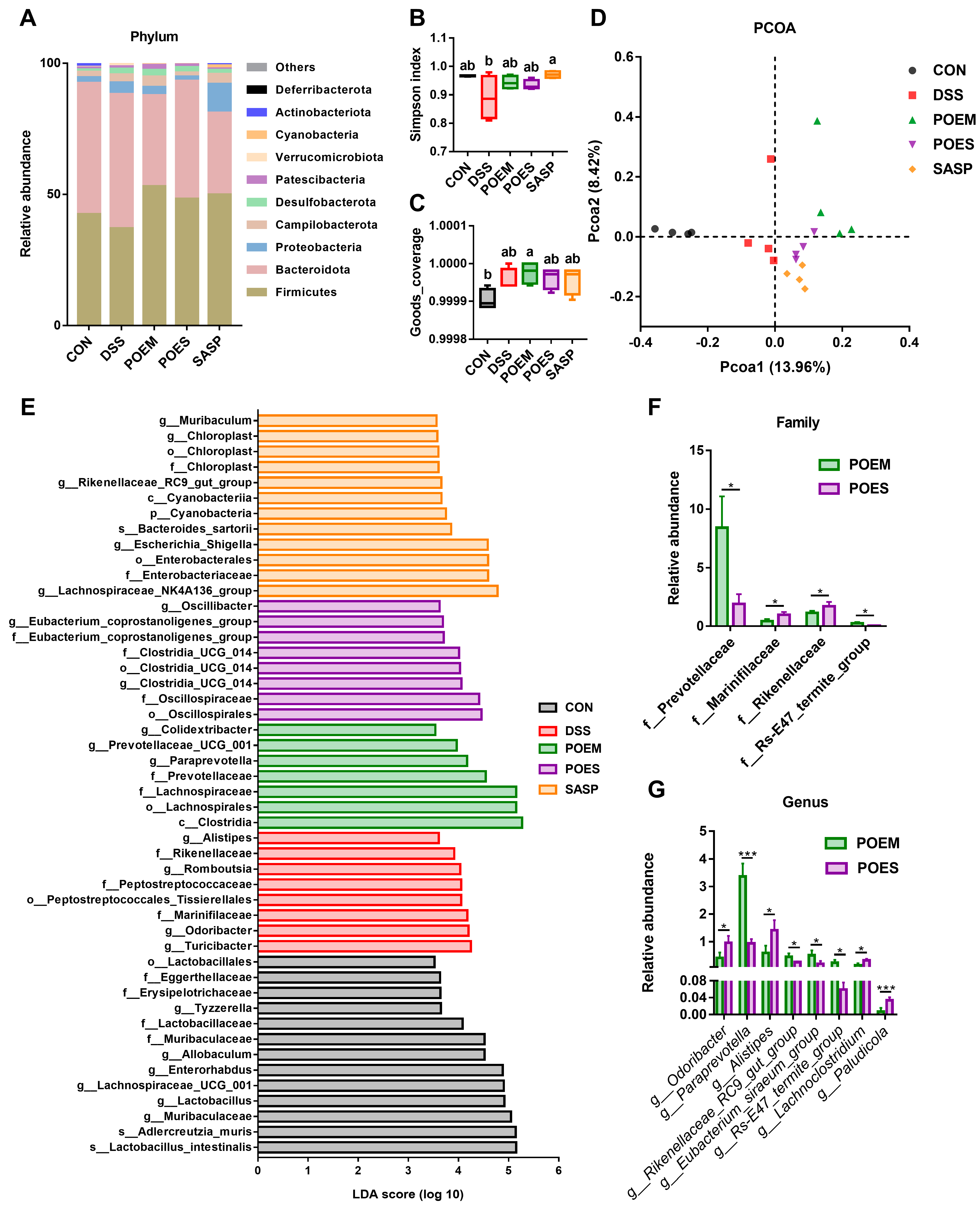 Antioxidants 12 01400 g006