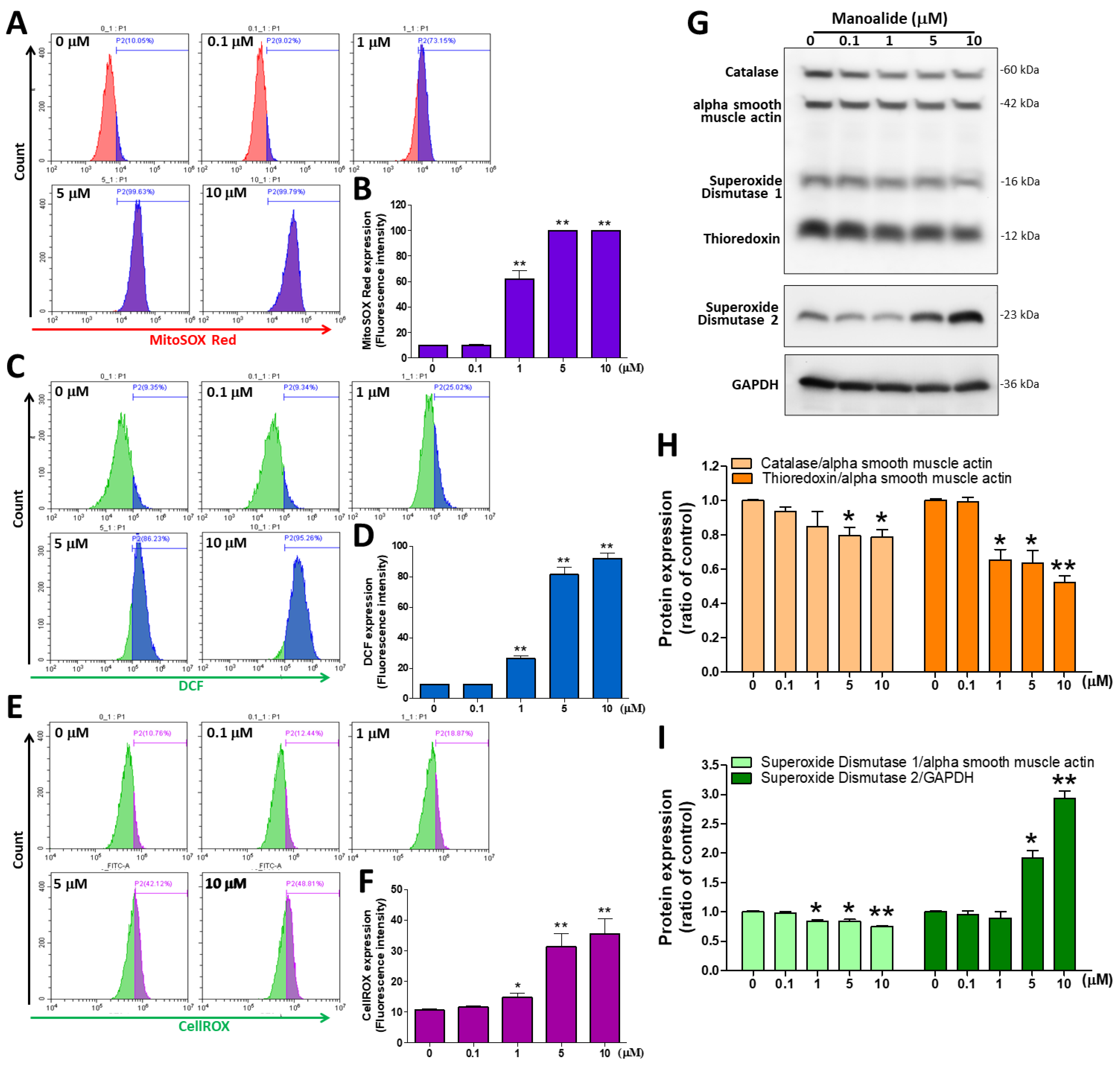 Antioxidants 12 01422 g002 Antioxidants 12 01422 g002