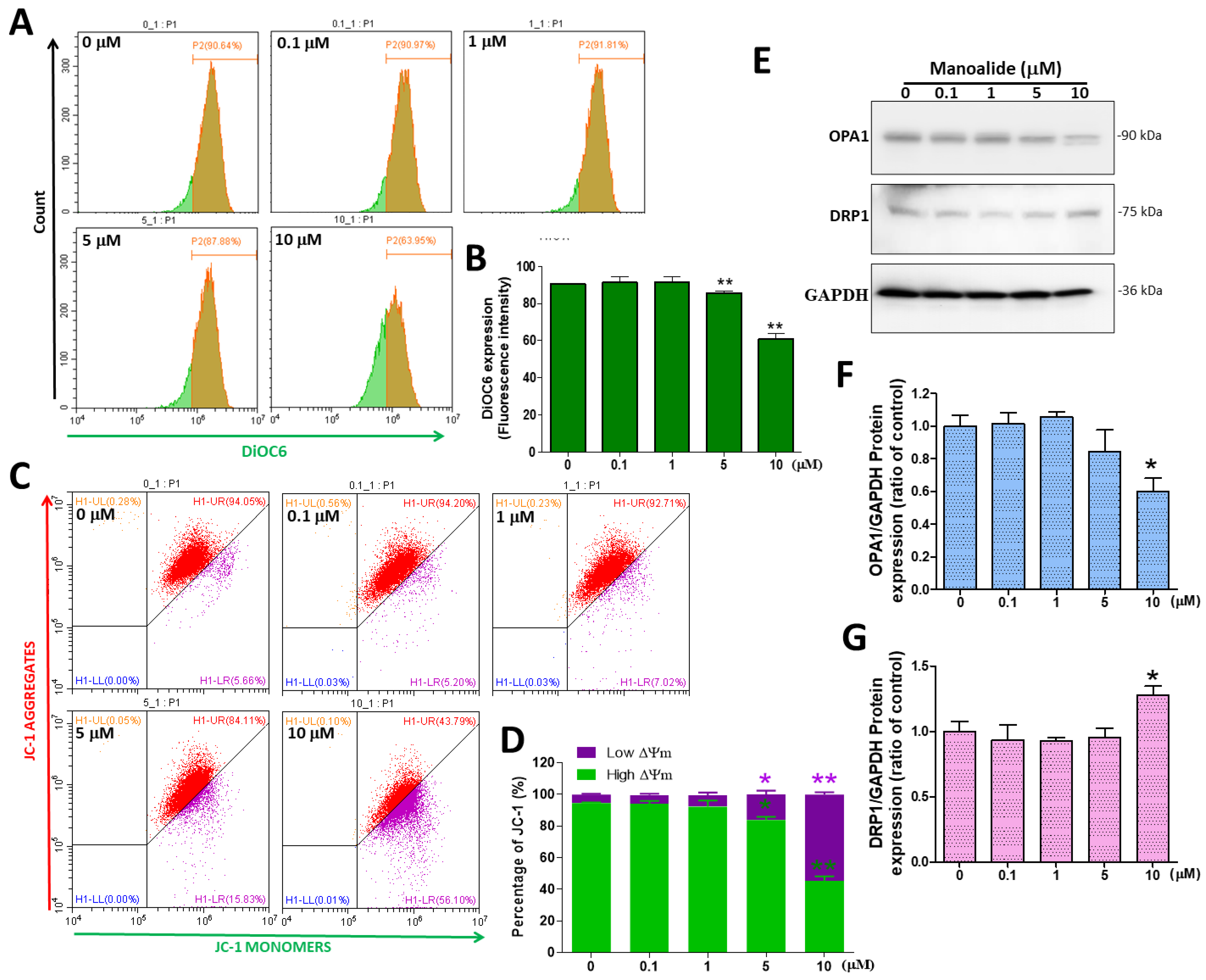 Antioxidants 12 01422 g004 Antioxidants 12 01422 g004