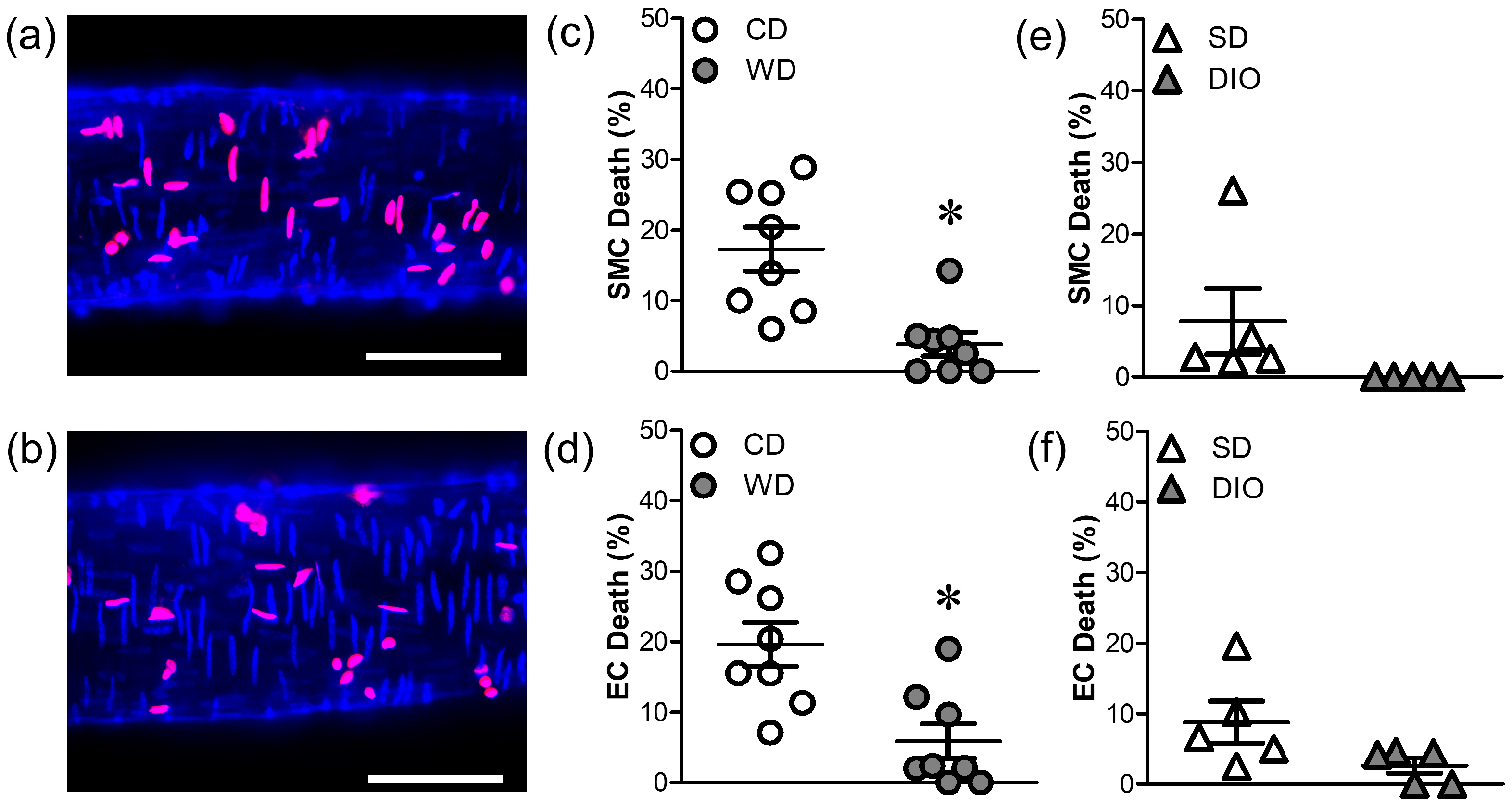 Antioxidants 12 01433 g002