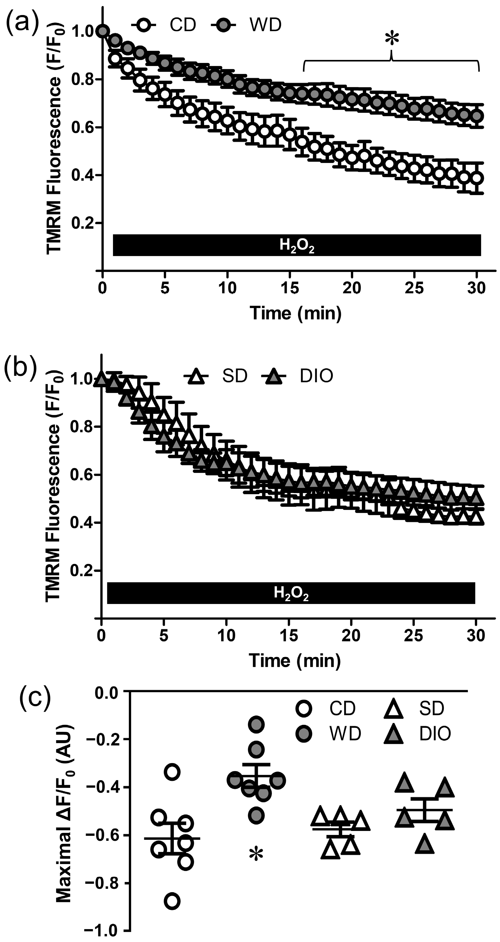 Antioxidants 12 01433 g003
