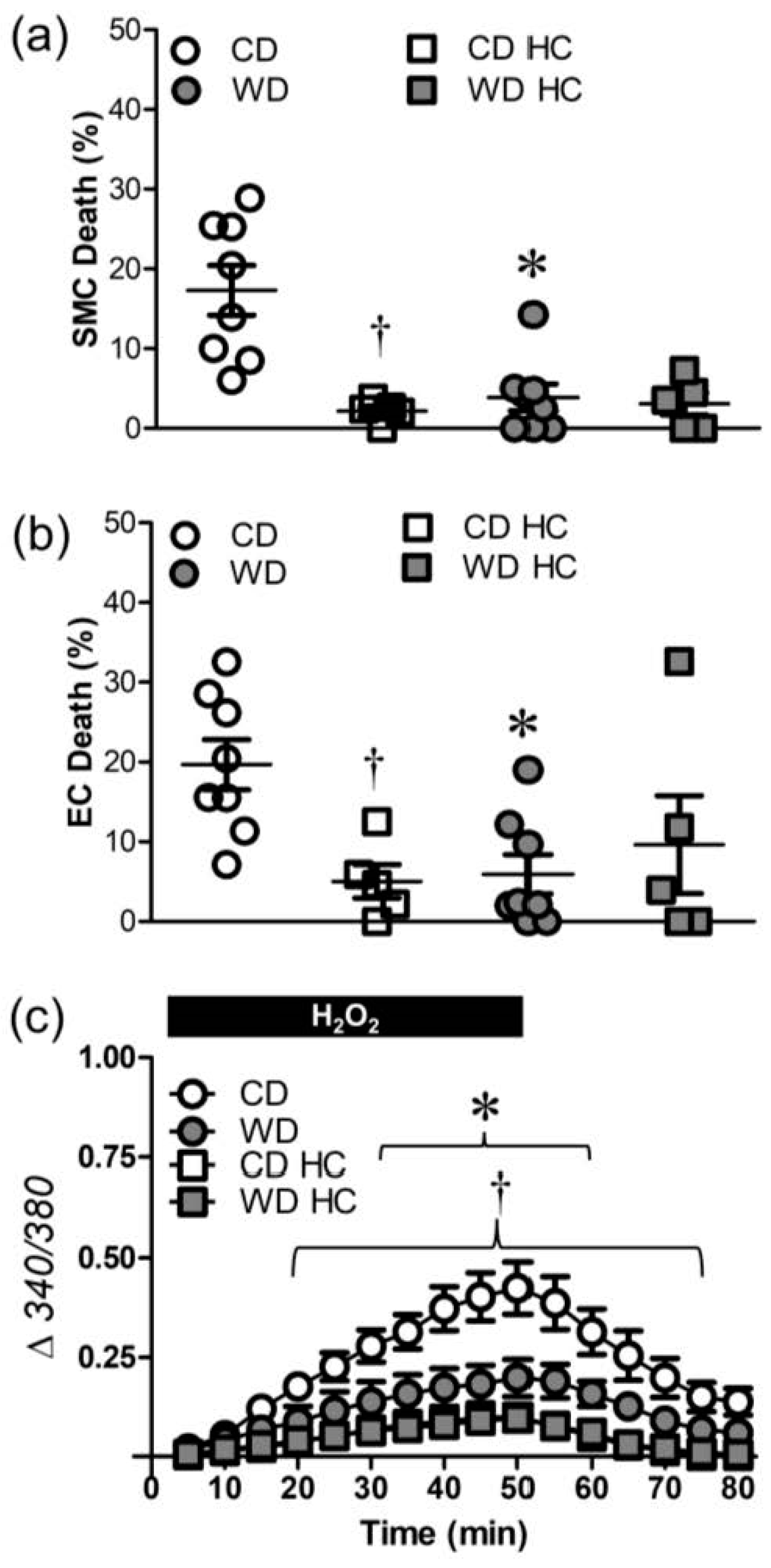 Antioxidants 12 01433 g005