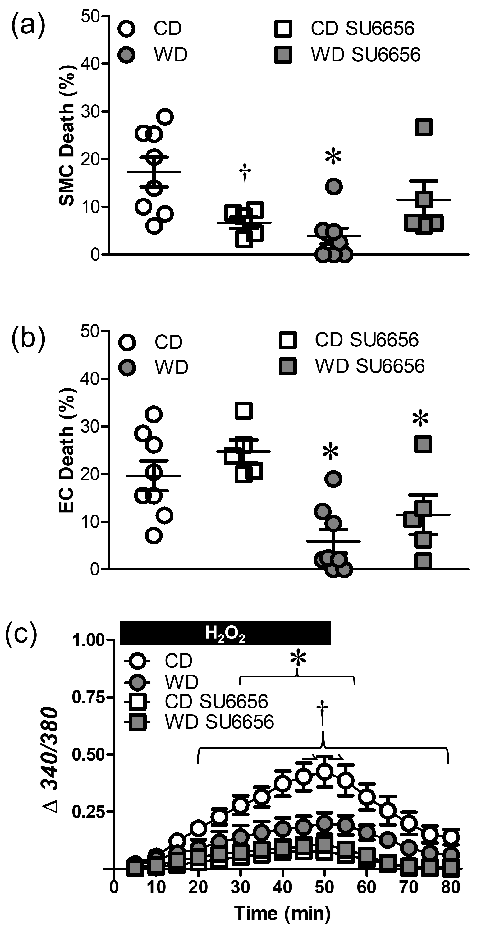 Antioxidants 12 01433 g007