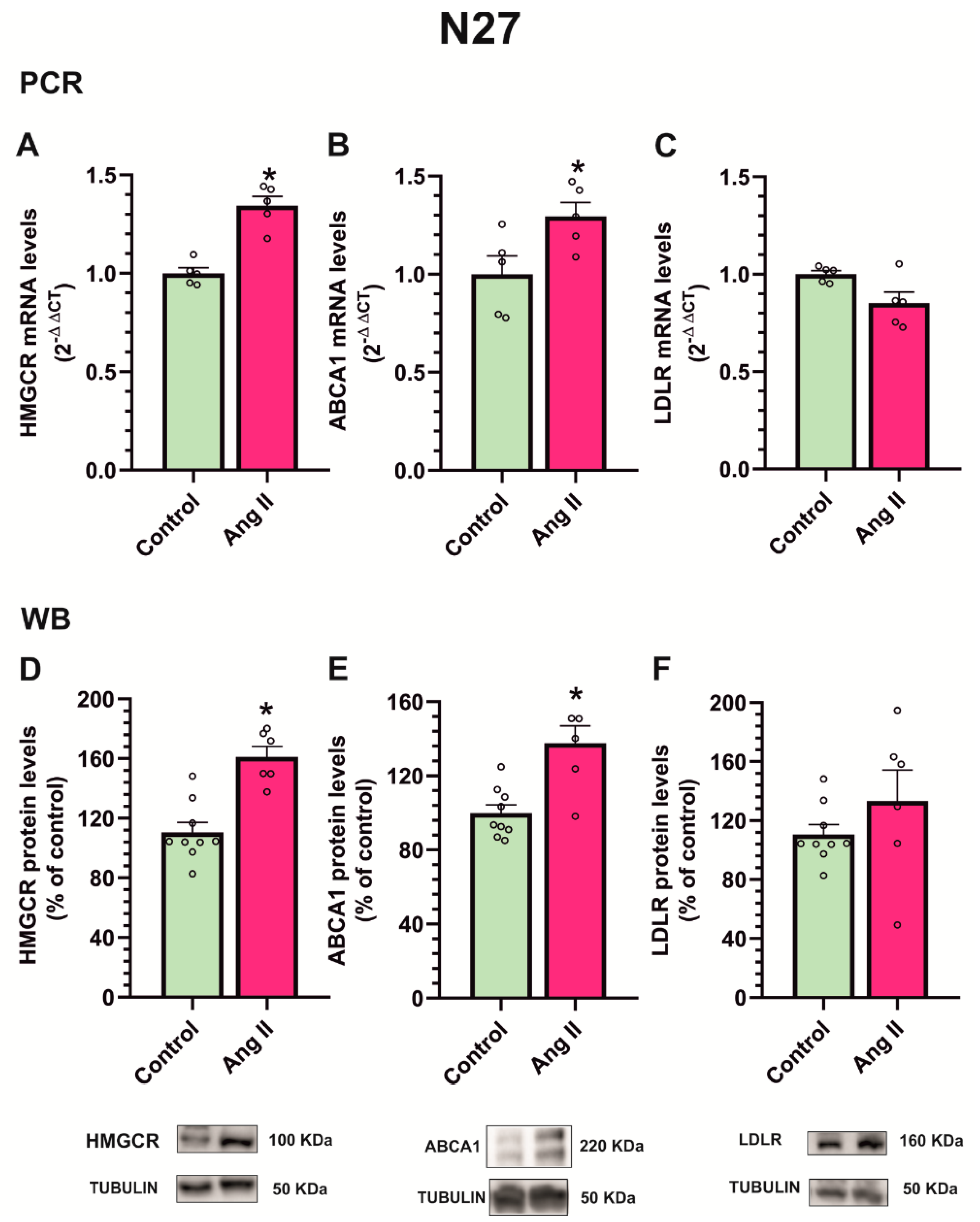 Antioxidants 12 01454 g009 Antioxidants 12 01454 g009