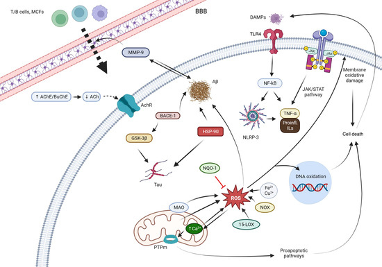 Antioxidants Free Full Text Quinones as Neuroprotective Agents