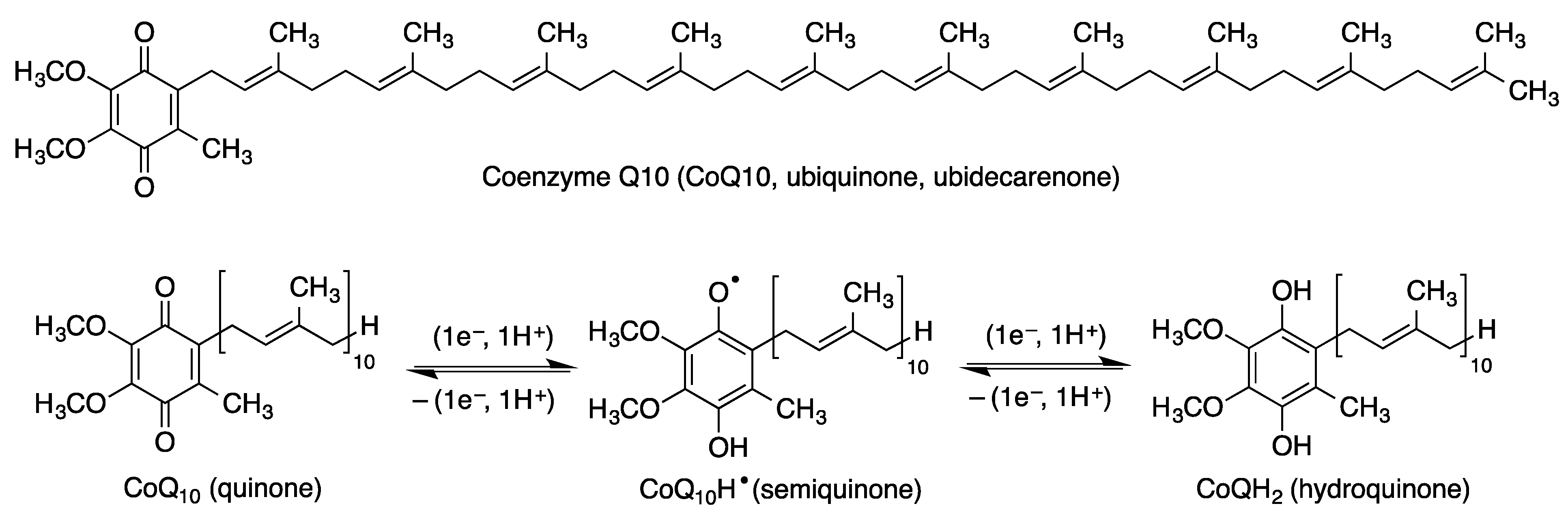 Antioxidants 12 01464 g008
