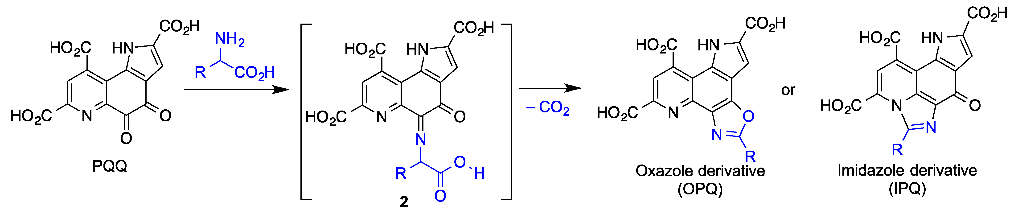 Antioxidants 12 01464 g022
