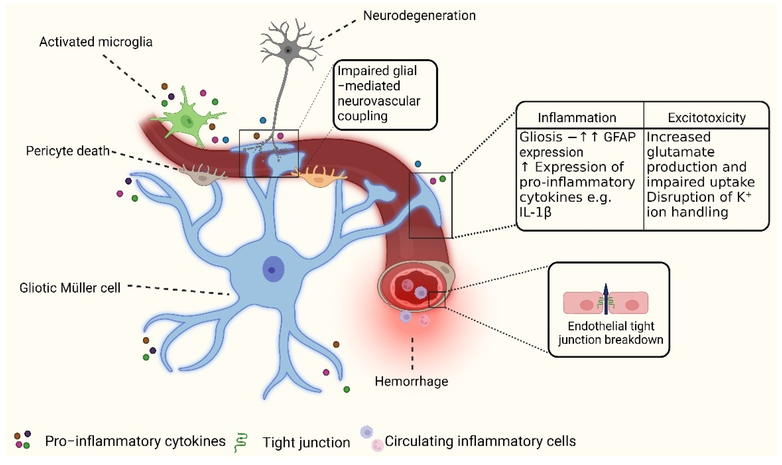 Antioxidants 12 01466 g001 Antioxidants 12 01466 g001