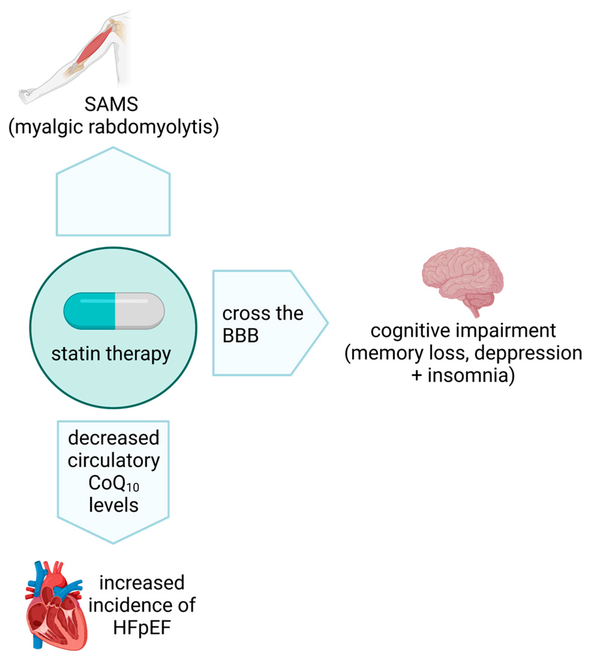 Antioxidants 12 01469 g002