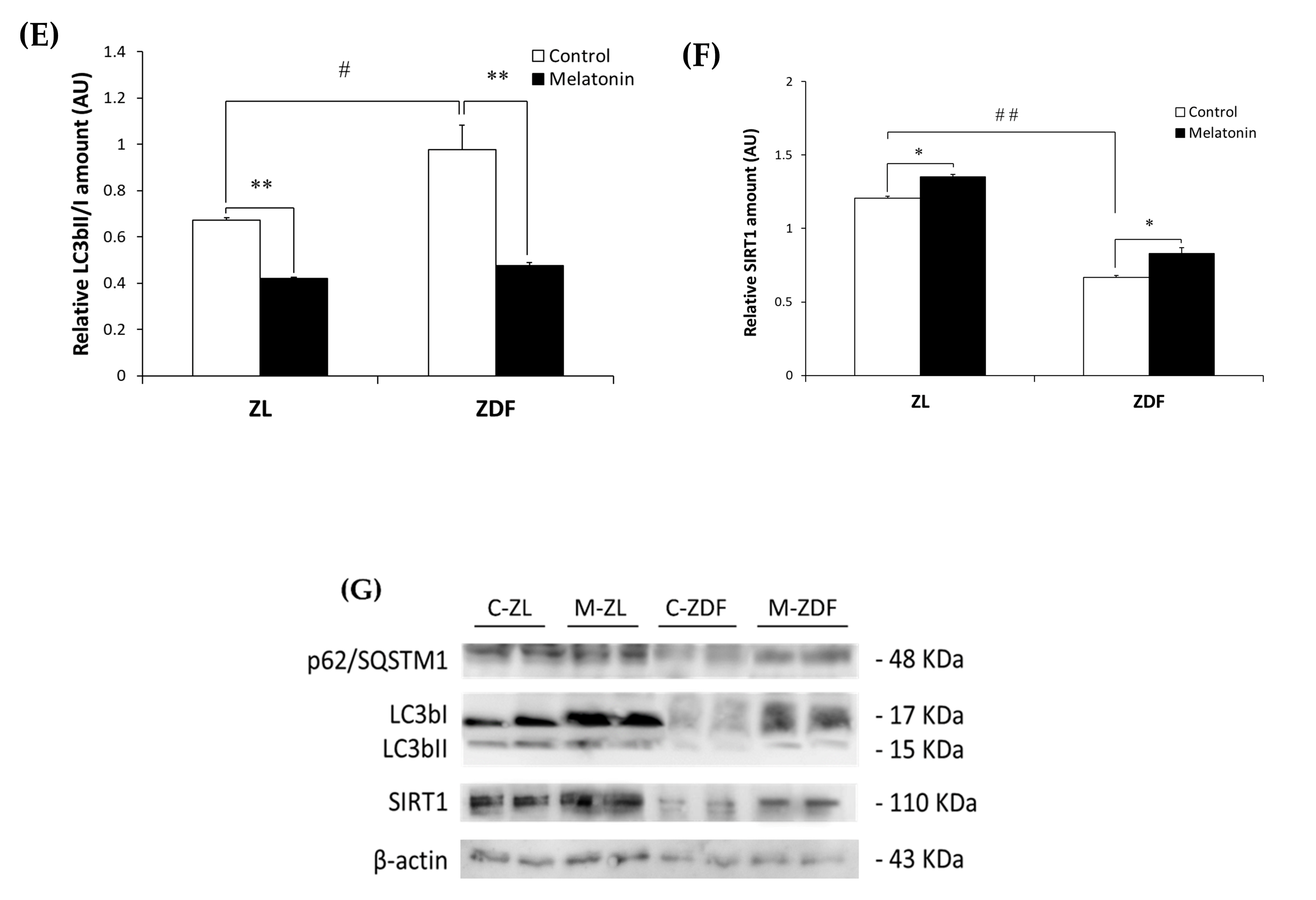 Antioxidants 12 01499 g002b