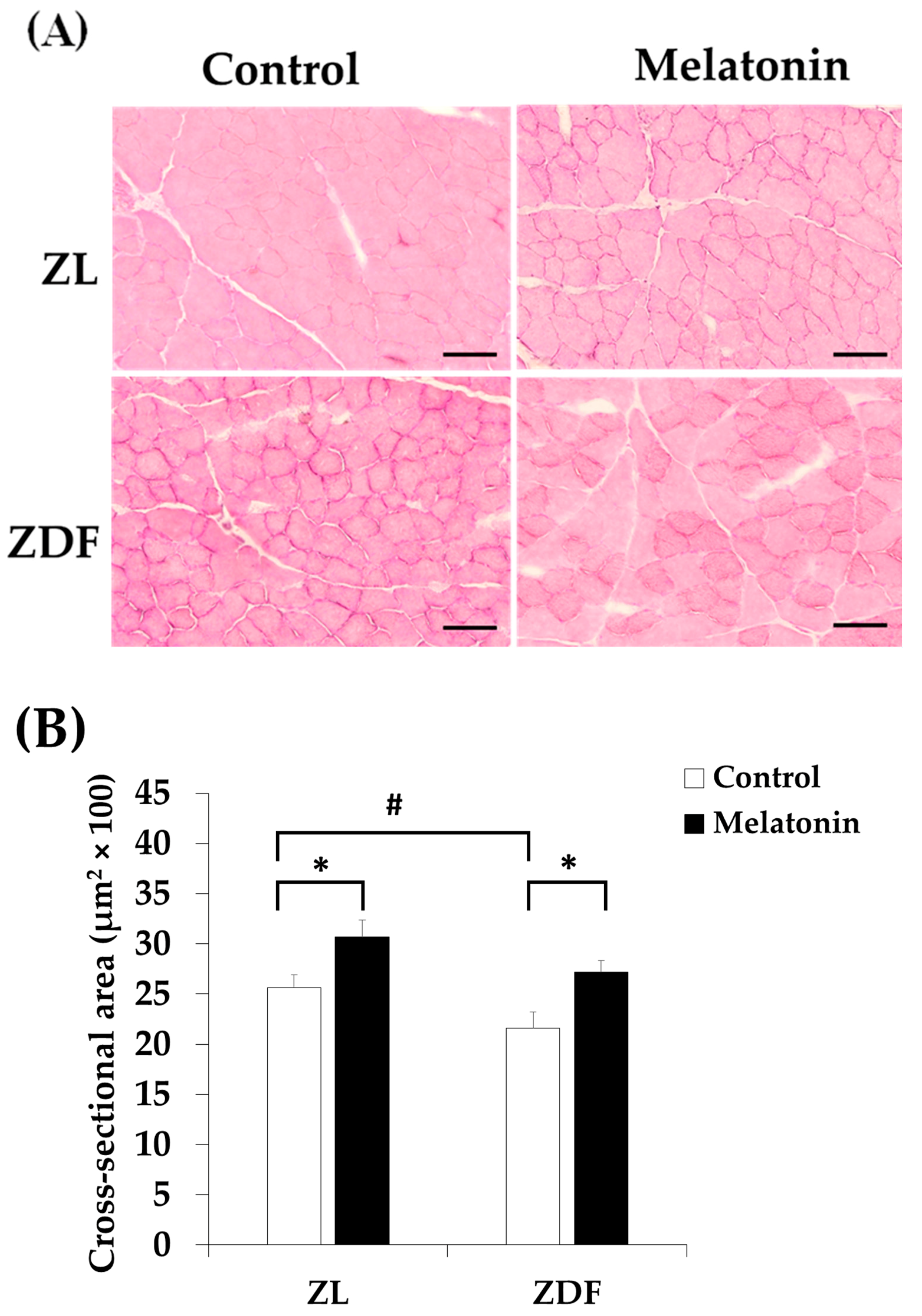 Antioxidants 12 01499 g009
