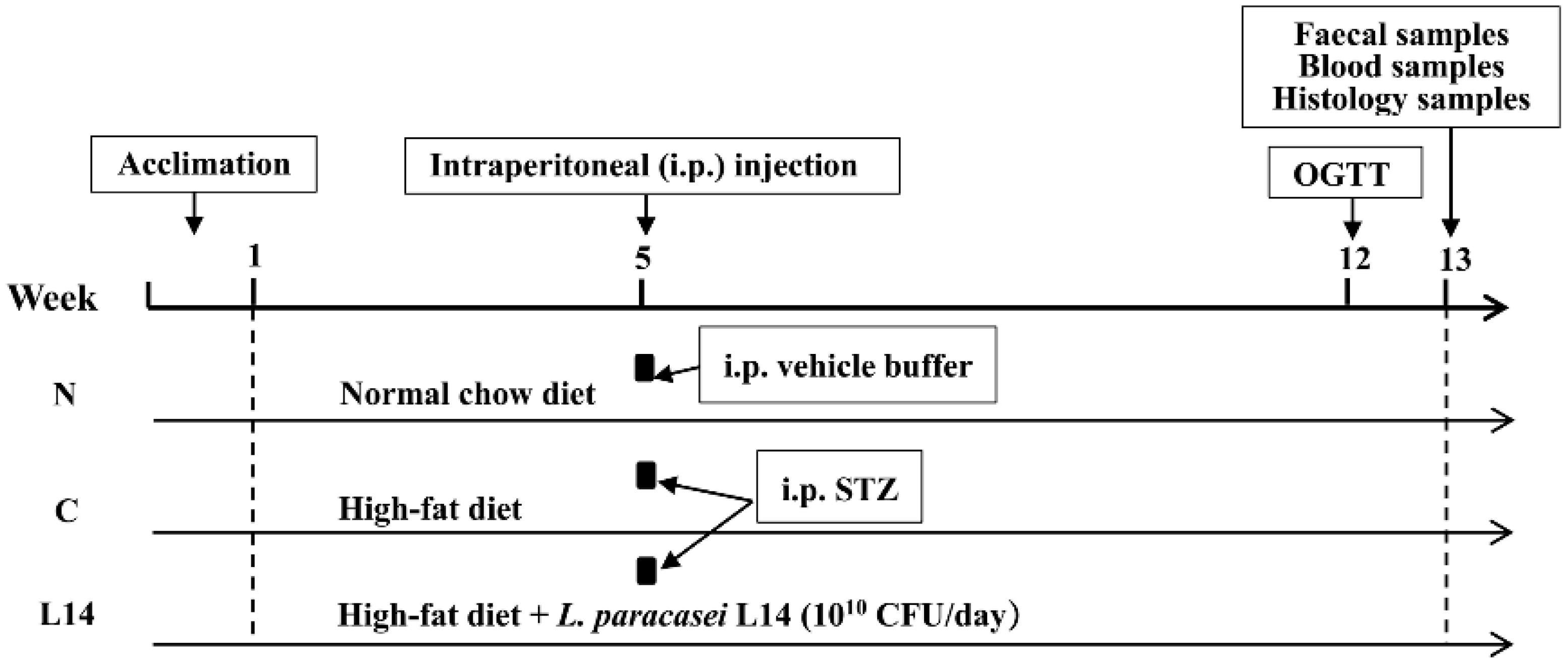 Antioxidants 12 01515 g001