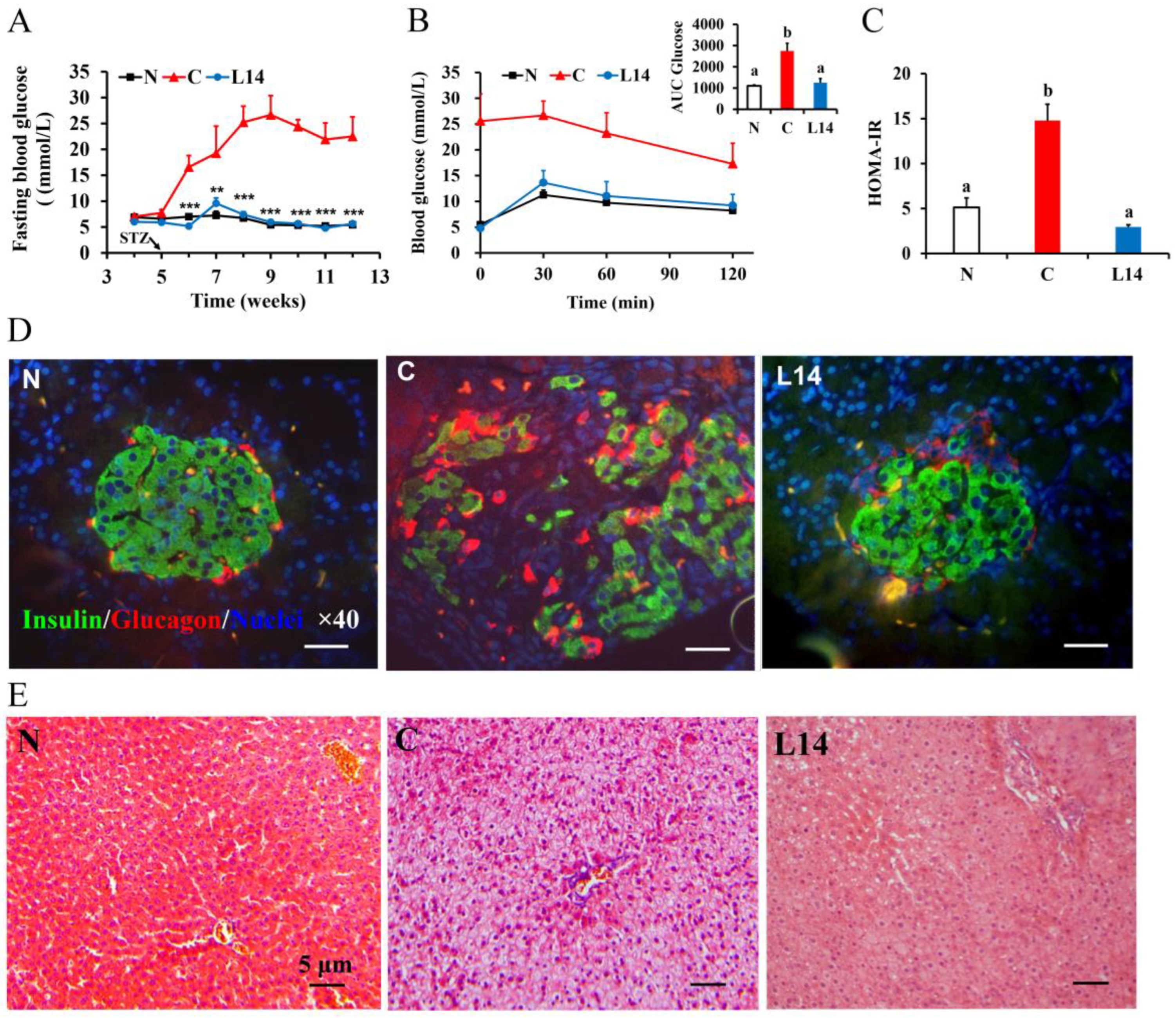 Antioxidants 12 01515 g003