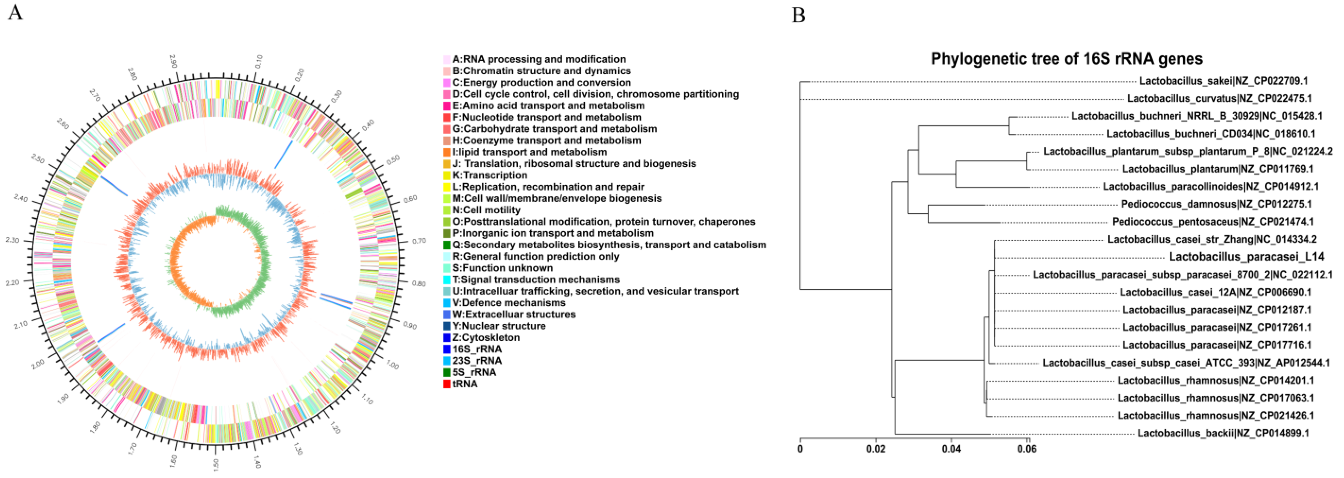 Antioxidants 12 01515 g007