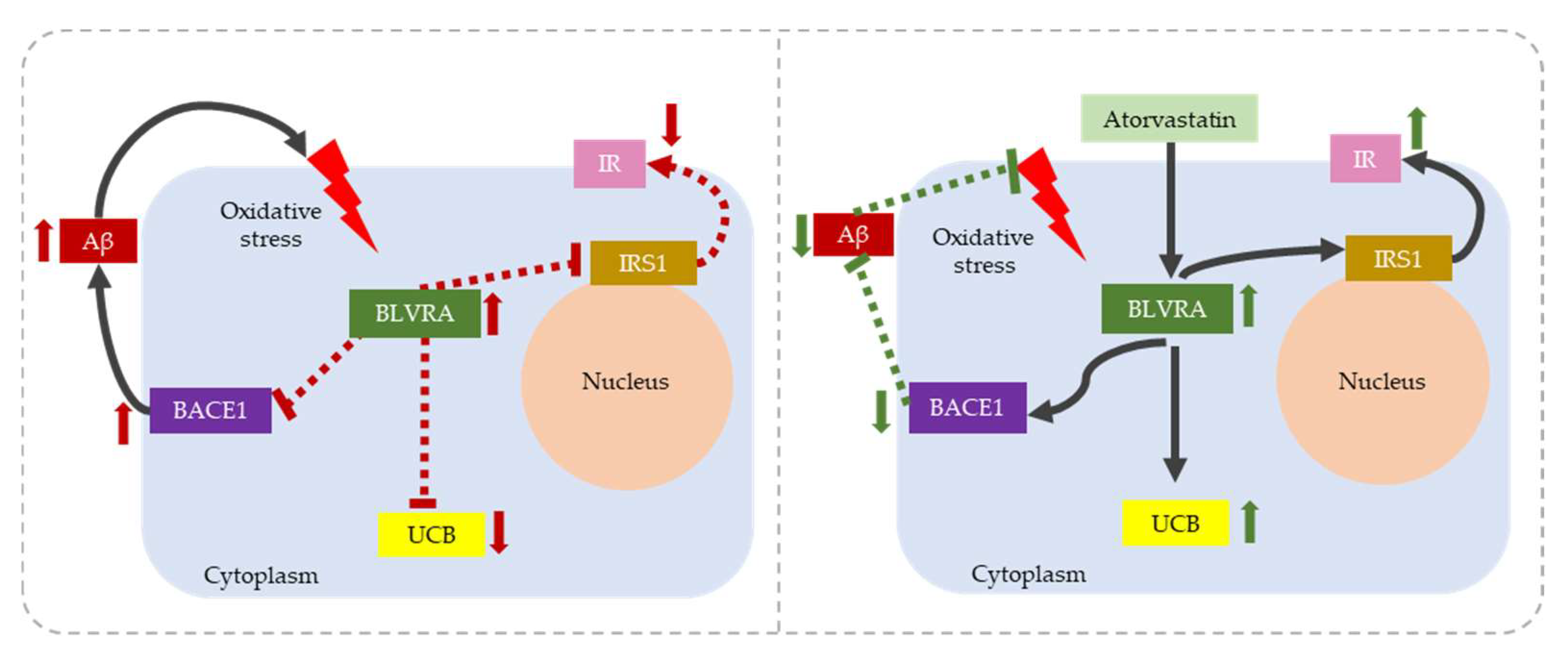Antioxidants 12 01525 g003