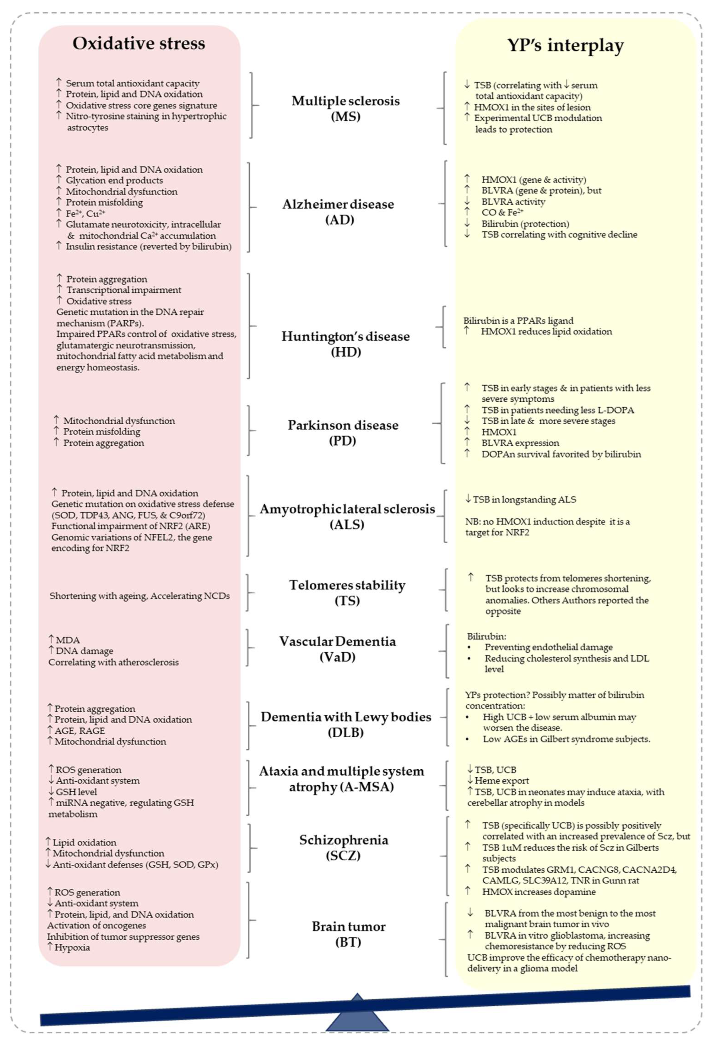 Antioxidants 12 01525 g004