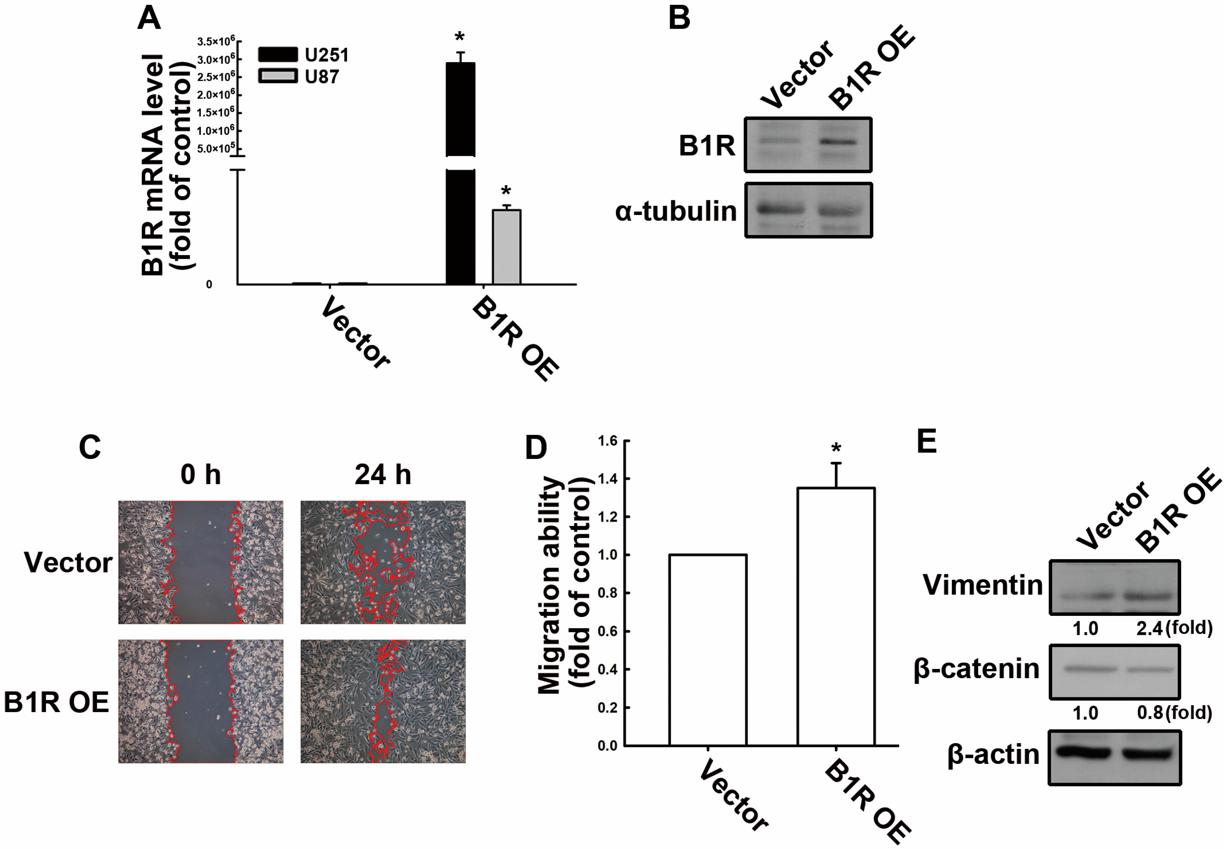 Antioxidants 12 01533 g001