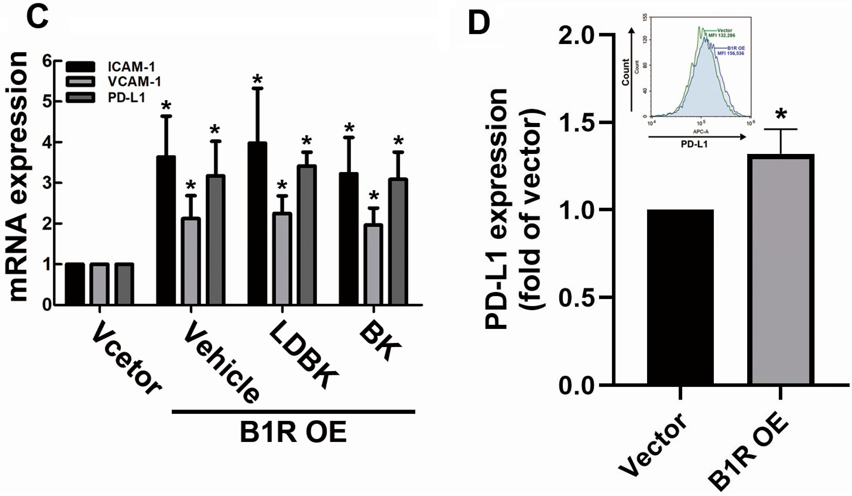 Antioxidants 12 01533 g002b