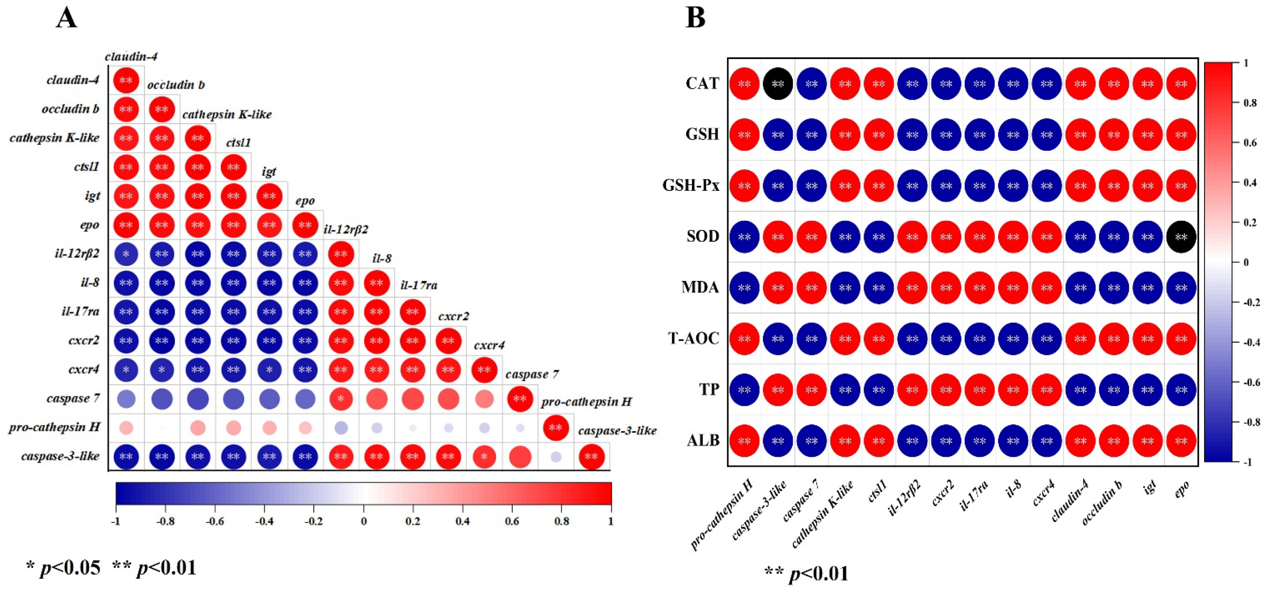 Antioxidants 12 01565 g005