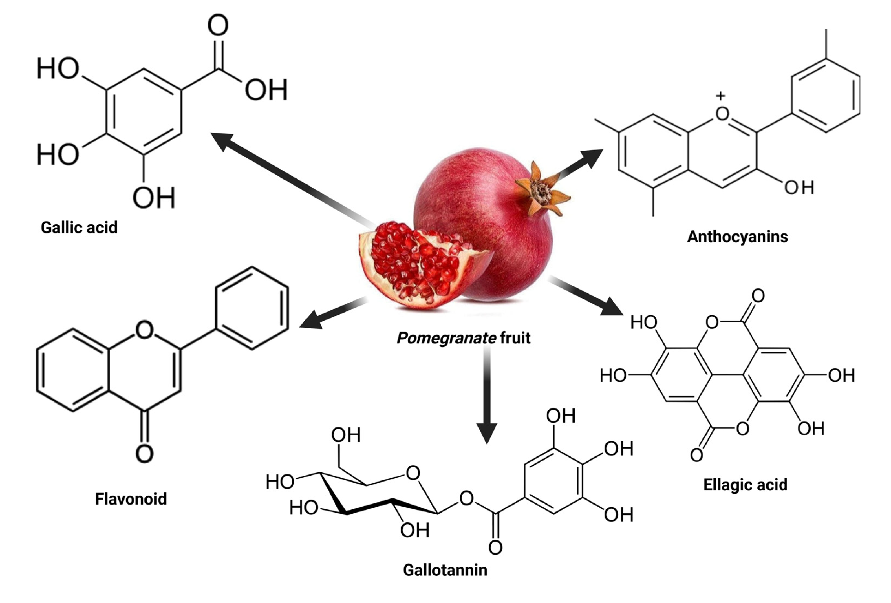 Antioxidants 12 01566 g003 Antioxidants 12 01566 g003