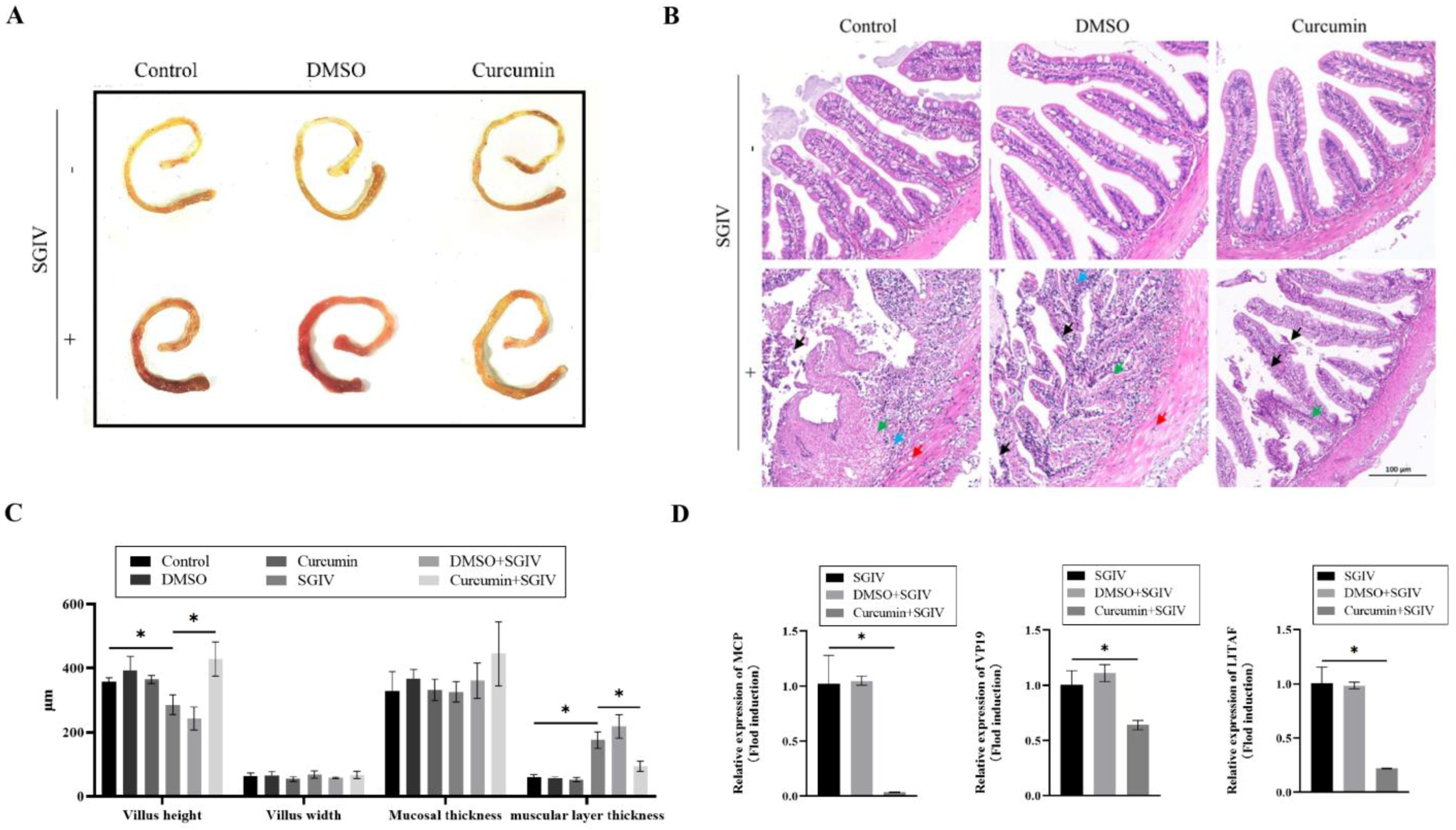 Antioxidants 12 01584 g001 Antioxidants 12 01584 g001