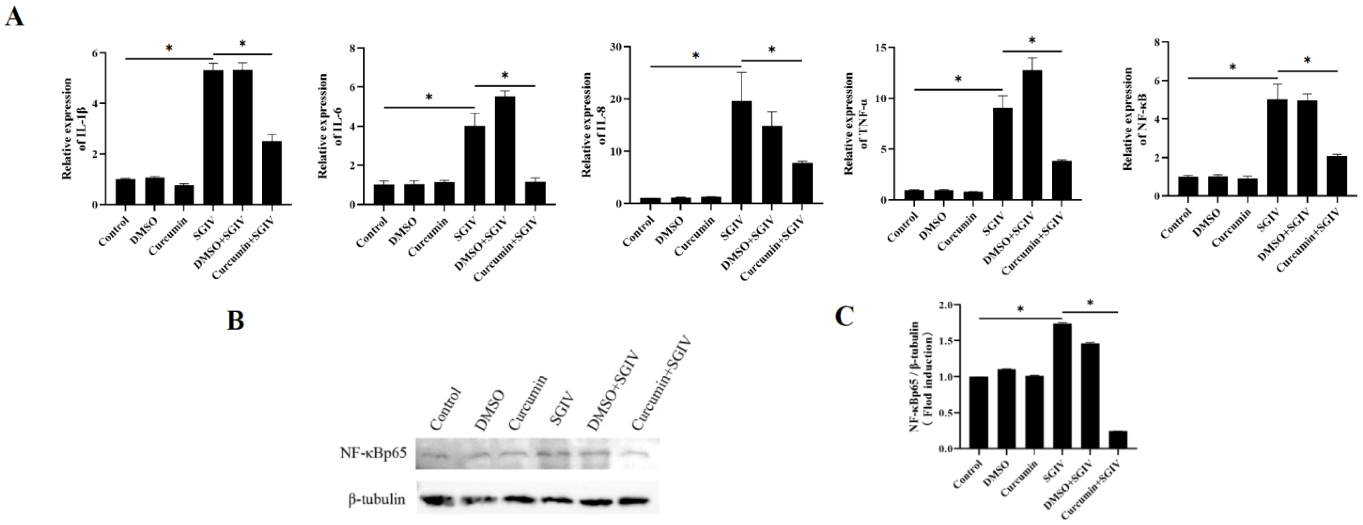 Antioxidants 12 01584 g004 Antioxidants 12 01584 g004