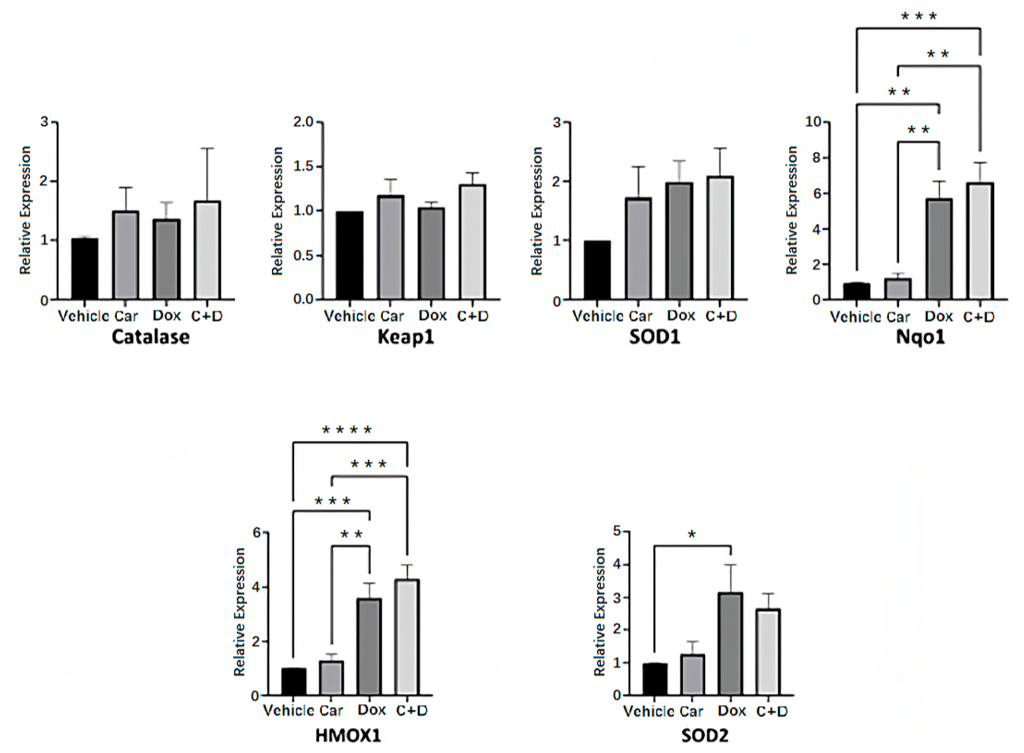 Antioxidants 12 01585 g005