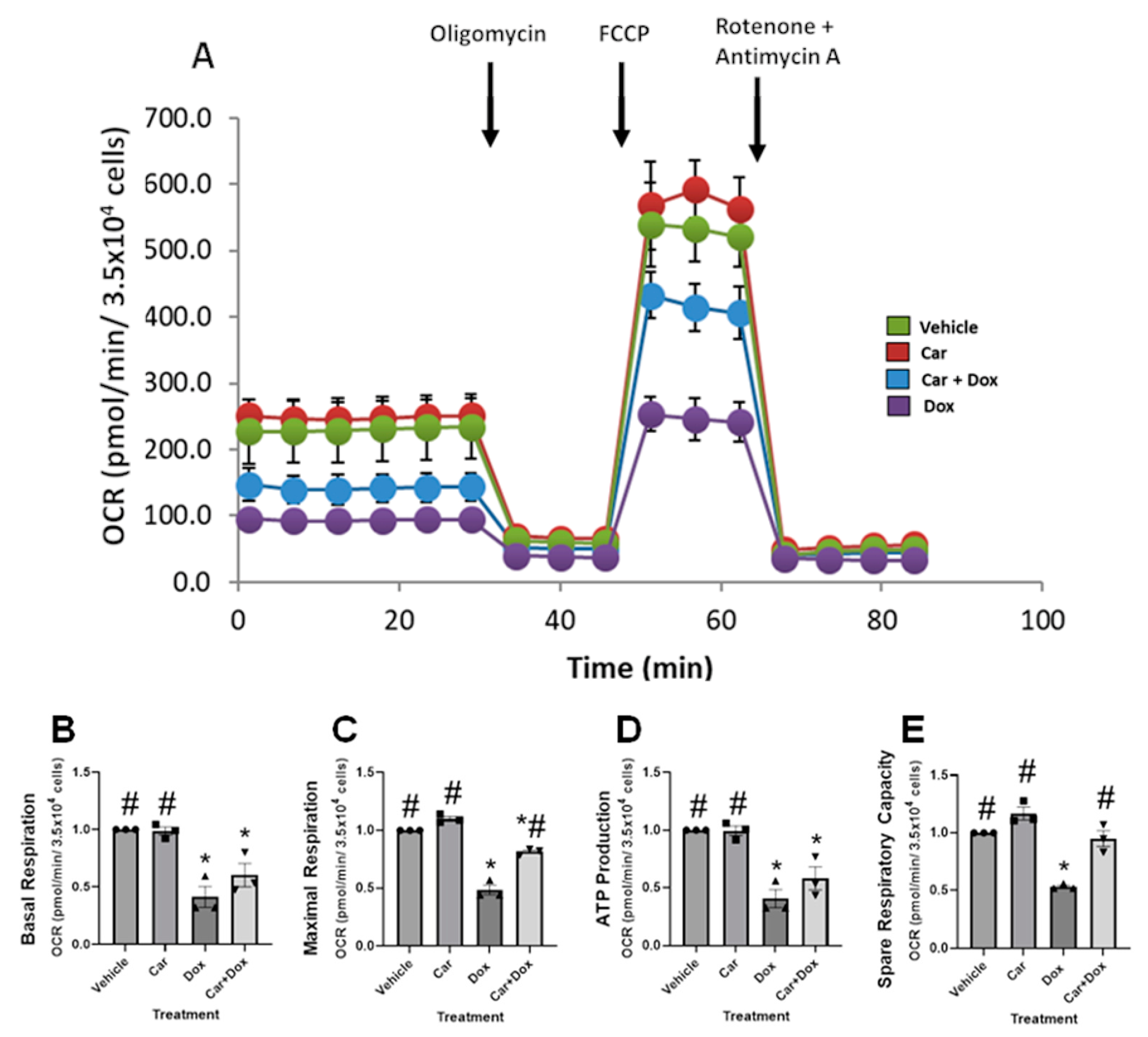 Antioxidants 12 01585 g006