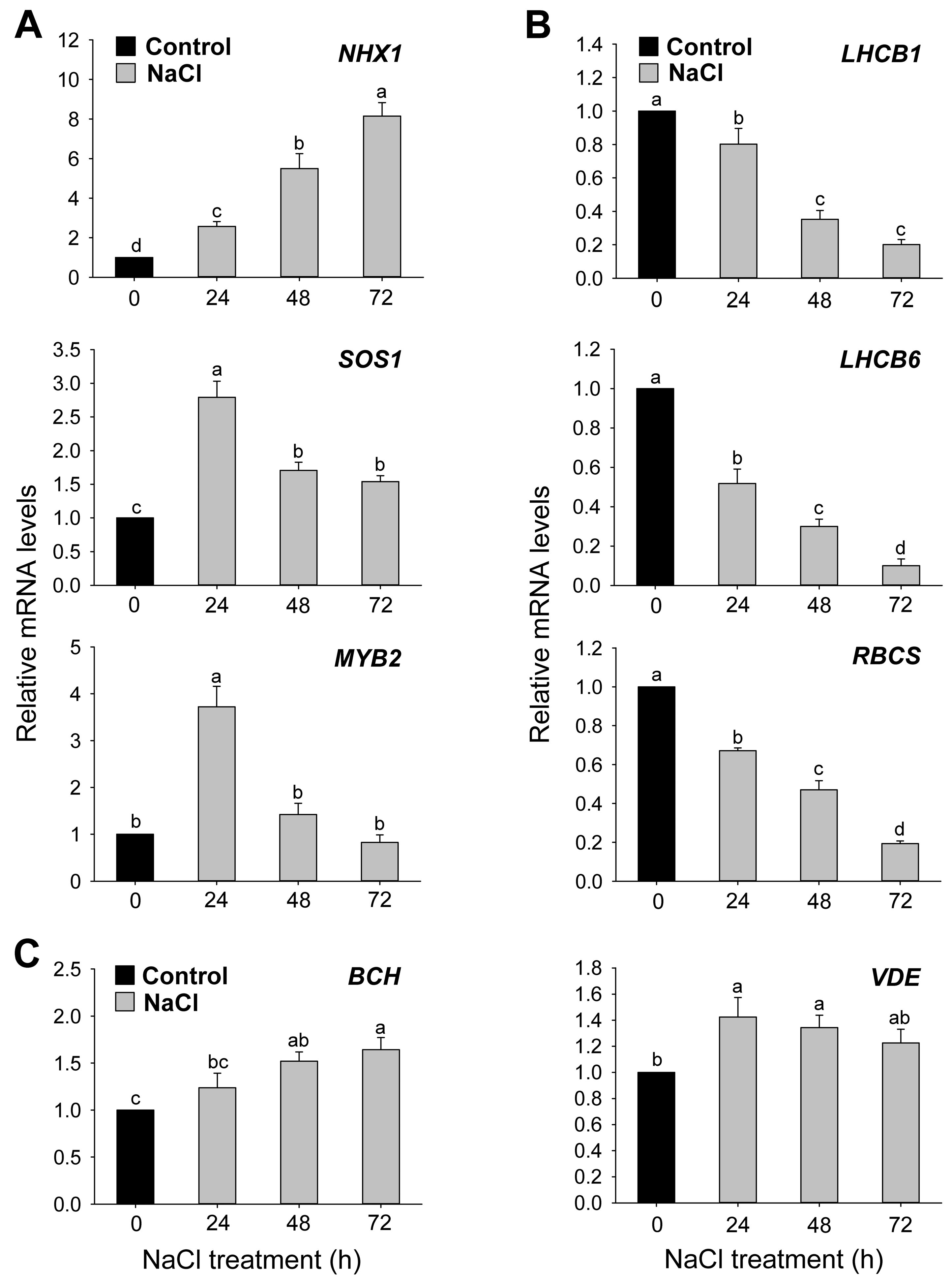 Antioxidants 12 01618 g002